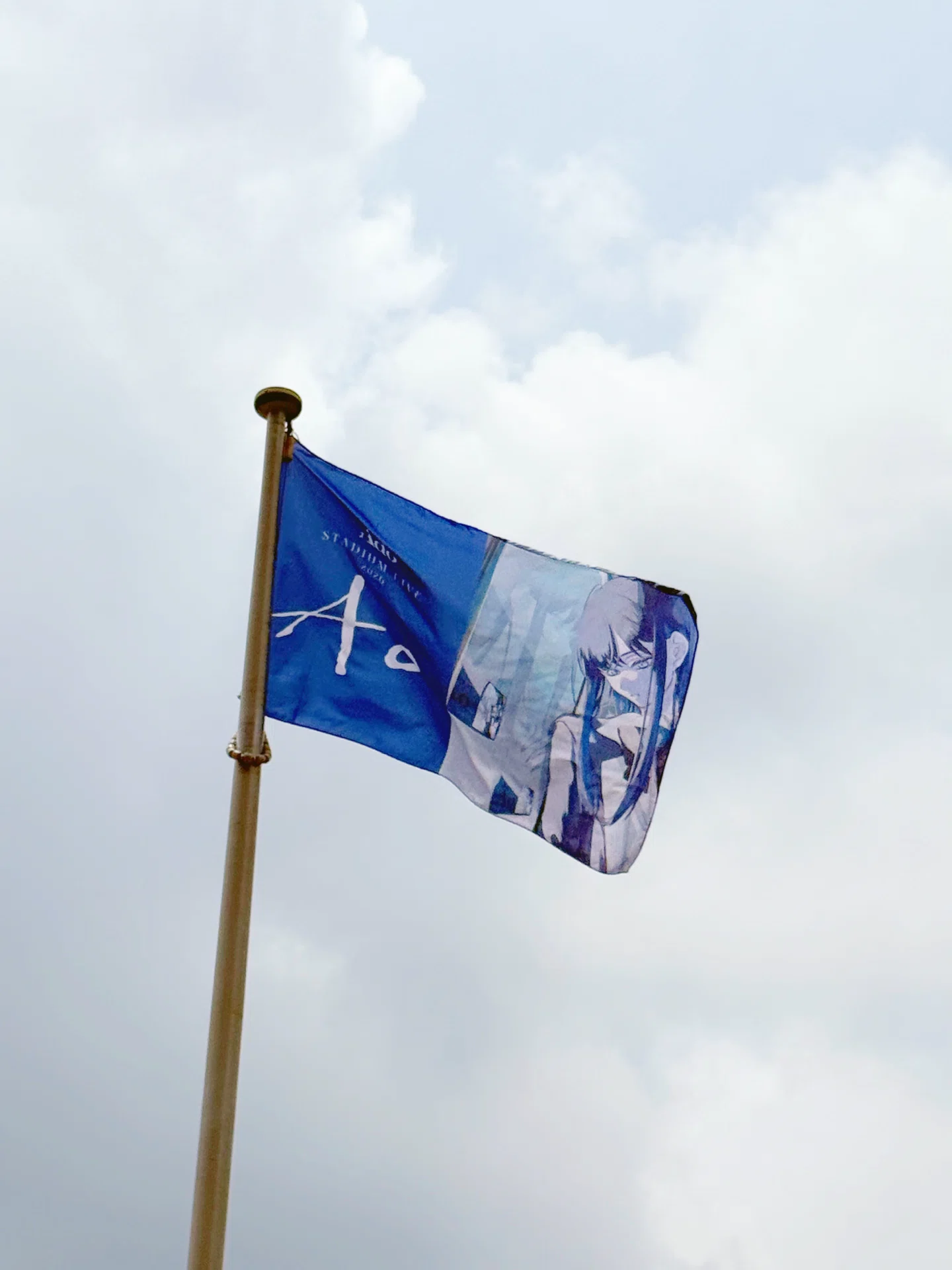Ado『Ao』@日産スタジアム｜LEO