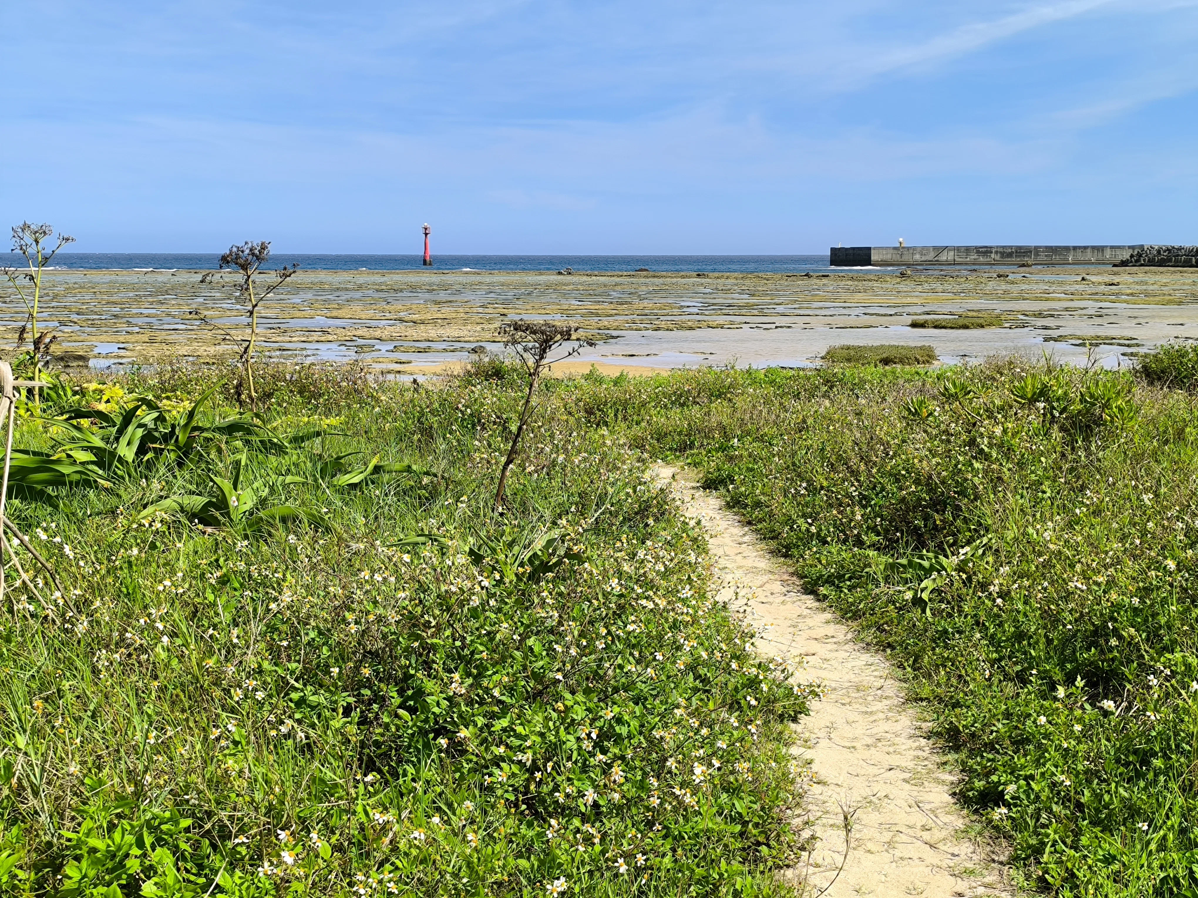 奄美大島⑧固有種溢れる世界自然遺産で出会ったのは鳥ではなく人だった