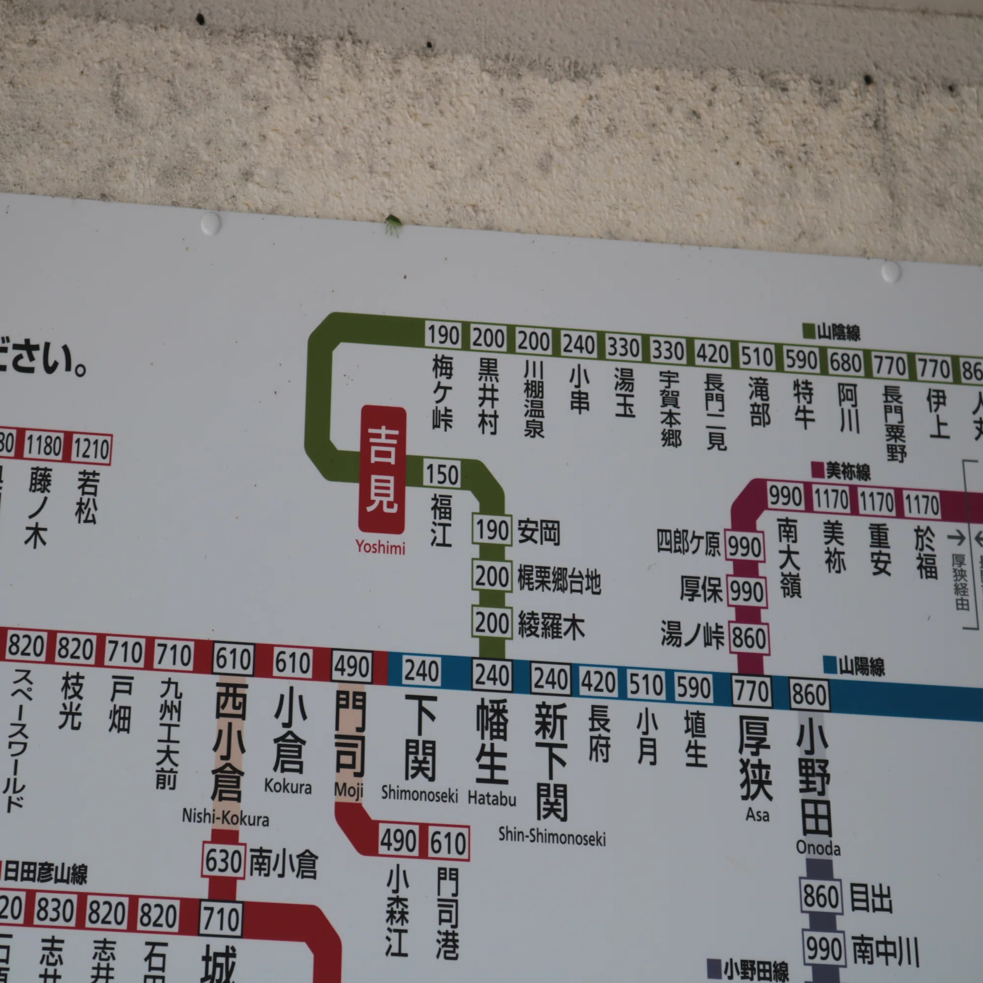 公の場での発言・インタビュー報道記録