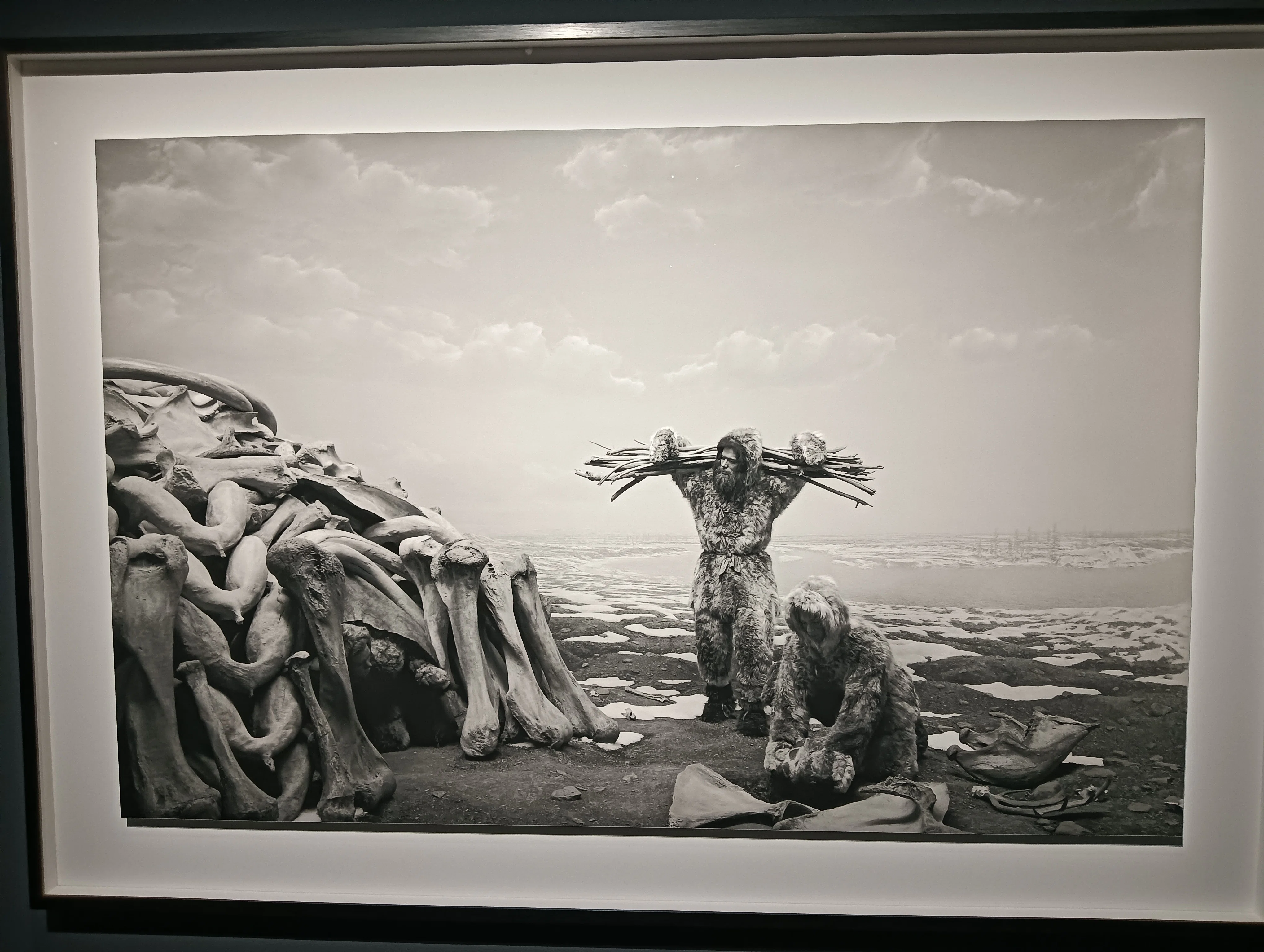 杉本博司 絶滅写真」（＠東京国立近代美術館）は凄まじく良かった