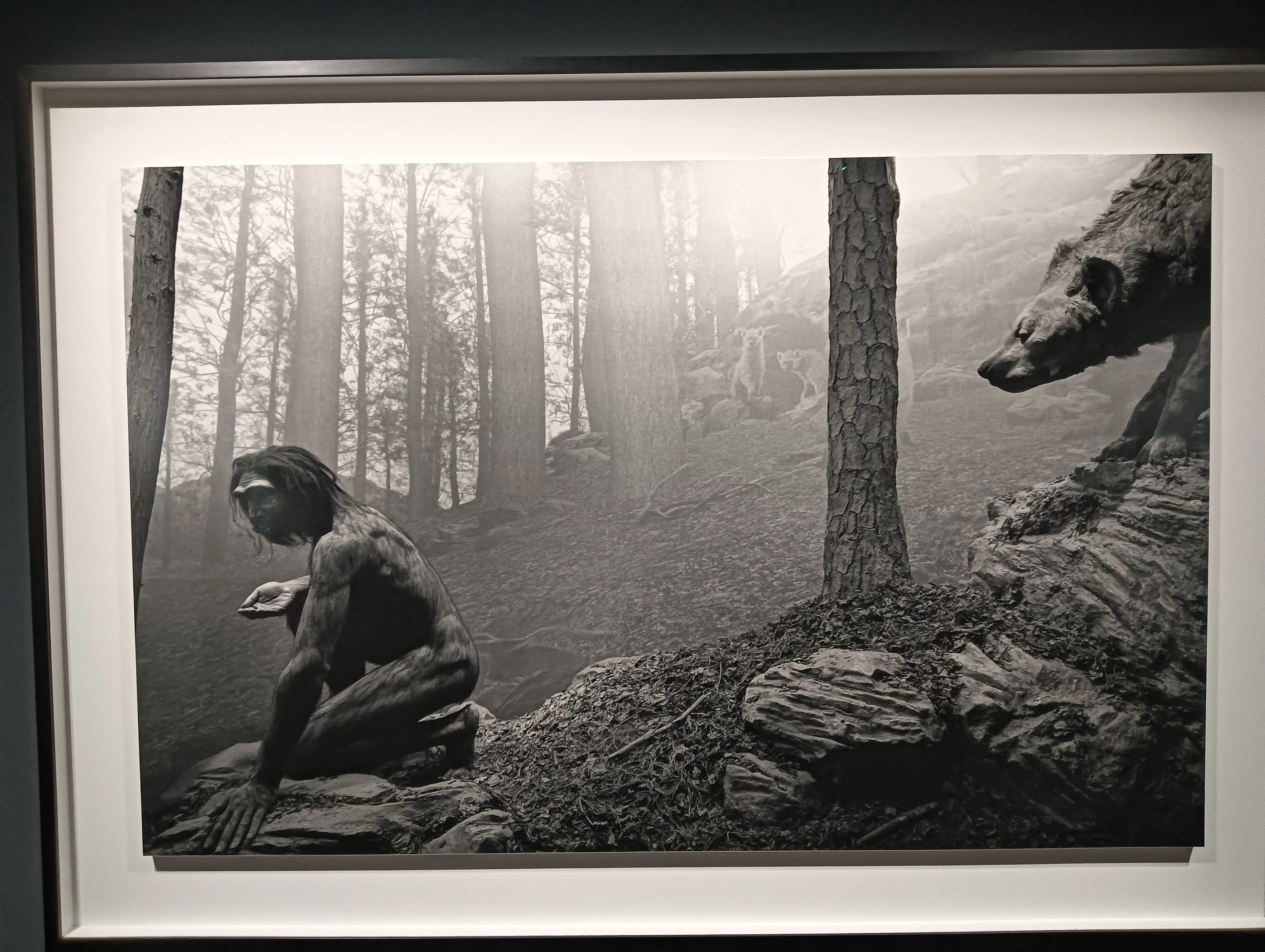 I was absolutely blown away by 'Hiroshi Sugimoto: Extinct