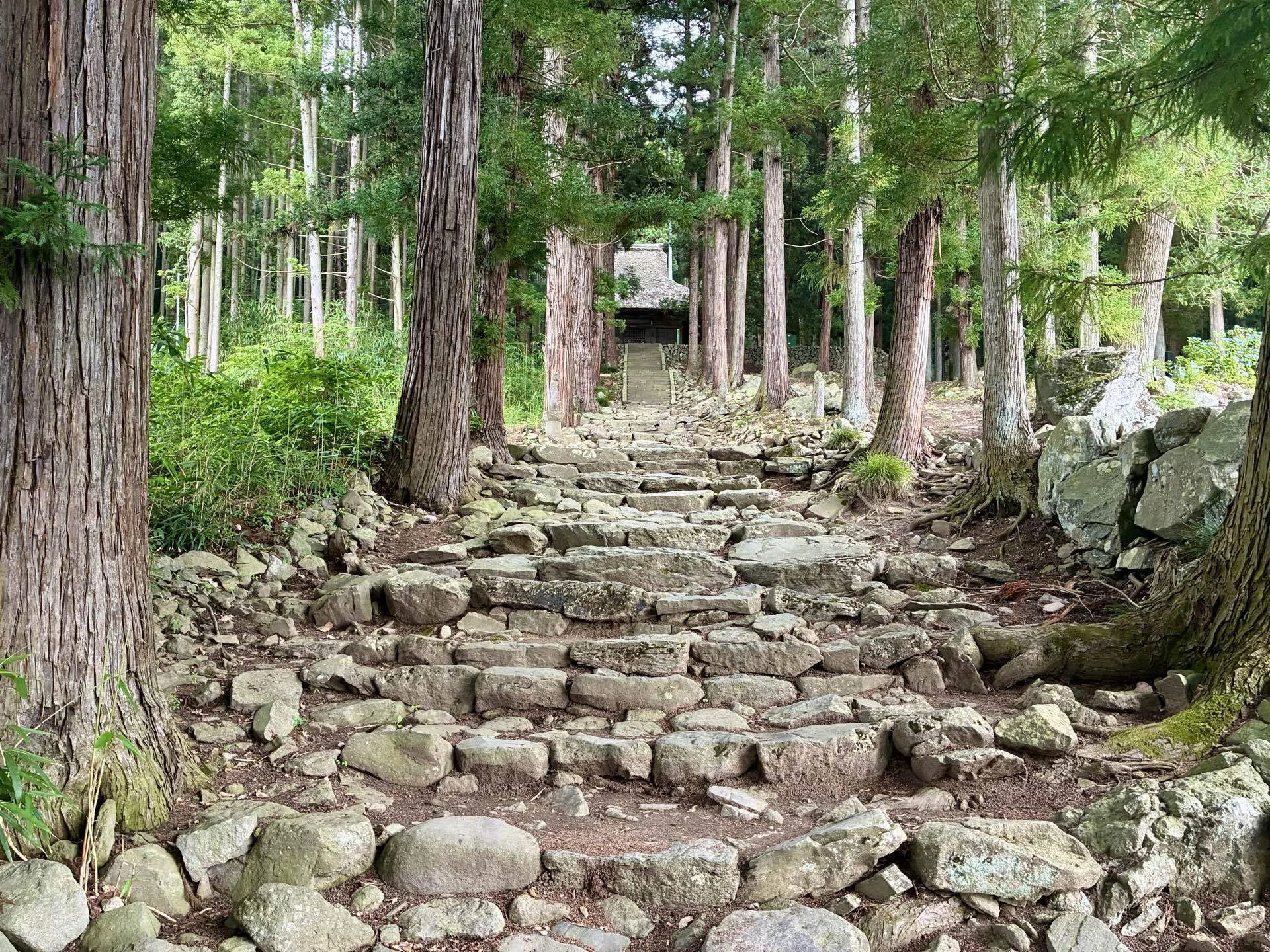 Famous Roads 500] 🥇 Nagano Prefecture | The Road to Meet