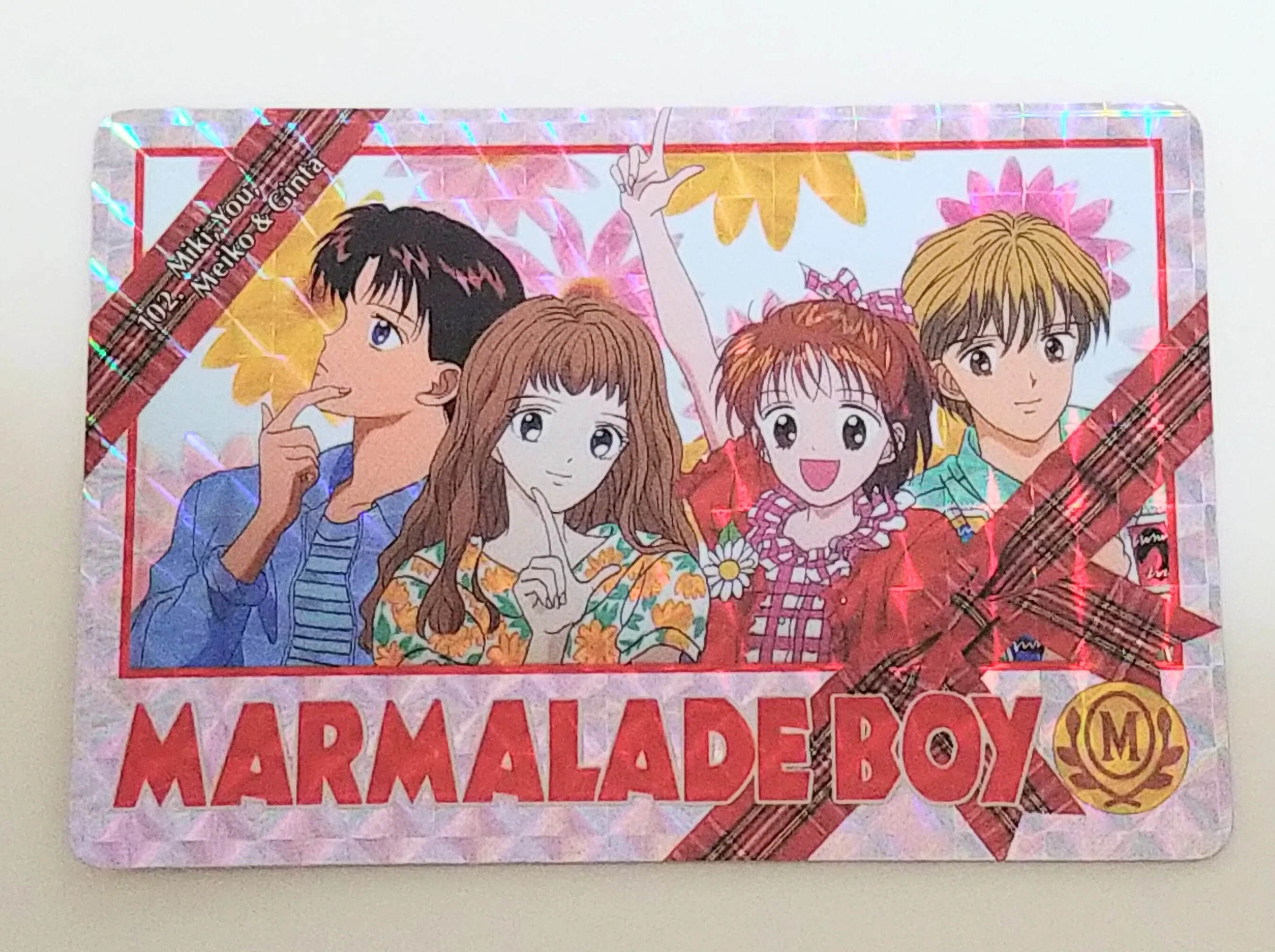 ドラゴンボールを回す僕の横で、姉は『ママレード・ボーイ』を引いてい