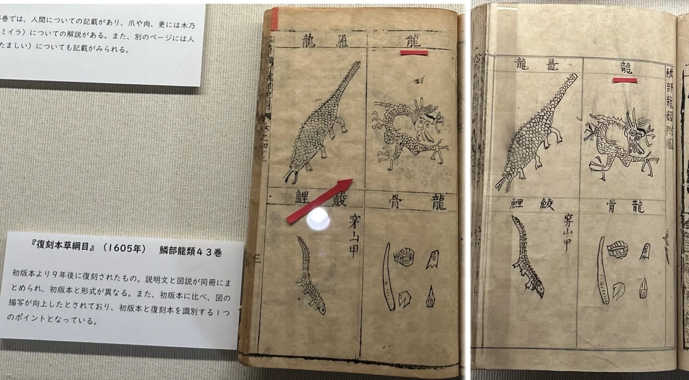 本草綱目』 だけじゃない！ 京都府立植物園の お宝たち｜ぺぇたぁ