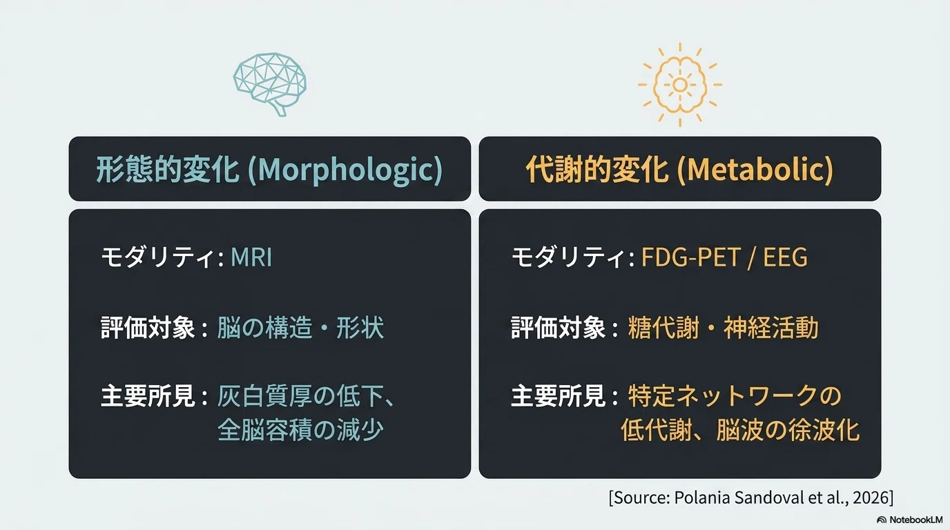 COVID後brain fogの形態・代謝変化の追求｜Makisey