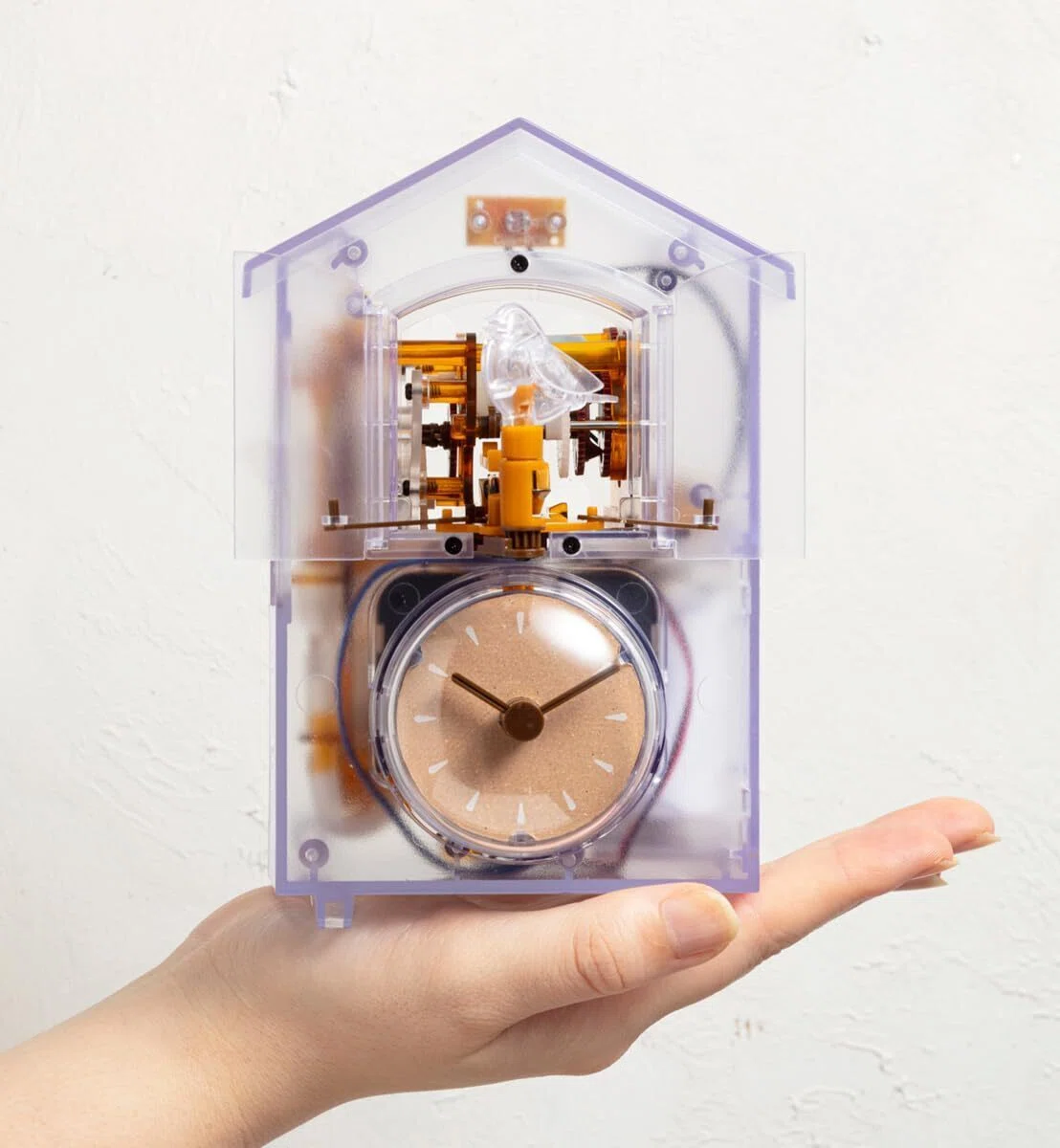 大人の科学マガジンのあたらしい鳩時計が楽しそう！🐦🕰️｜aishibox