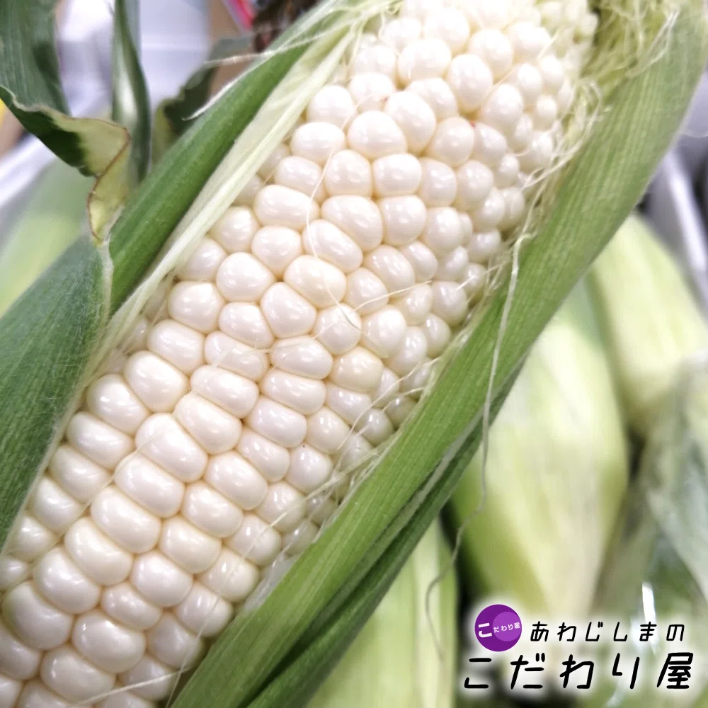 青果情報（2026年7月）｜あわじしまのこだわり屋