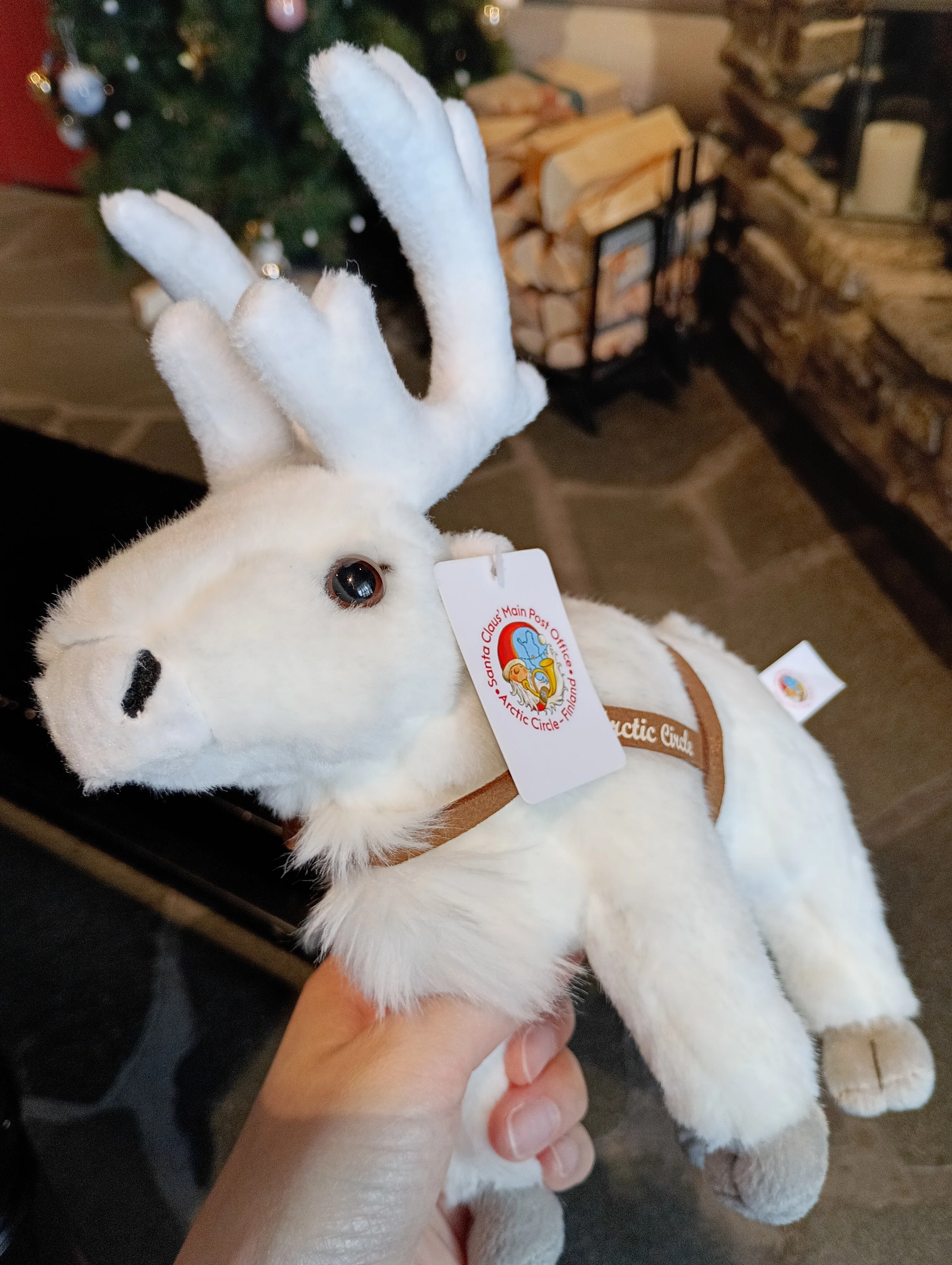2026/6 サンタ村でトナカイのぬいぐるみを買う｜a5n