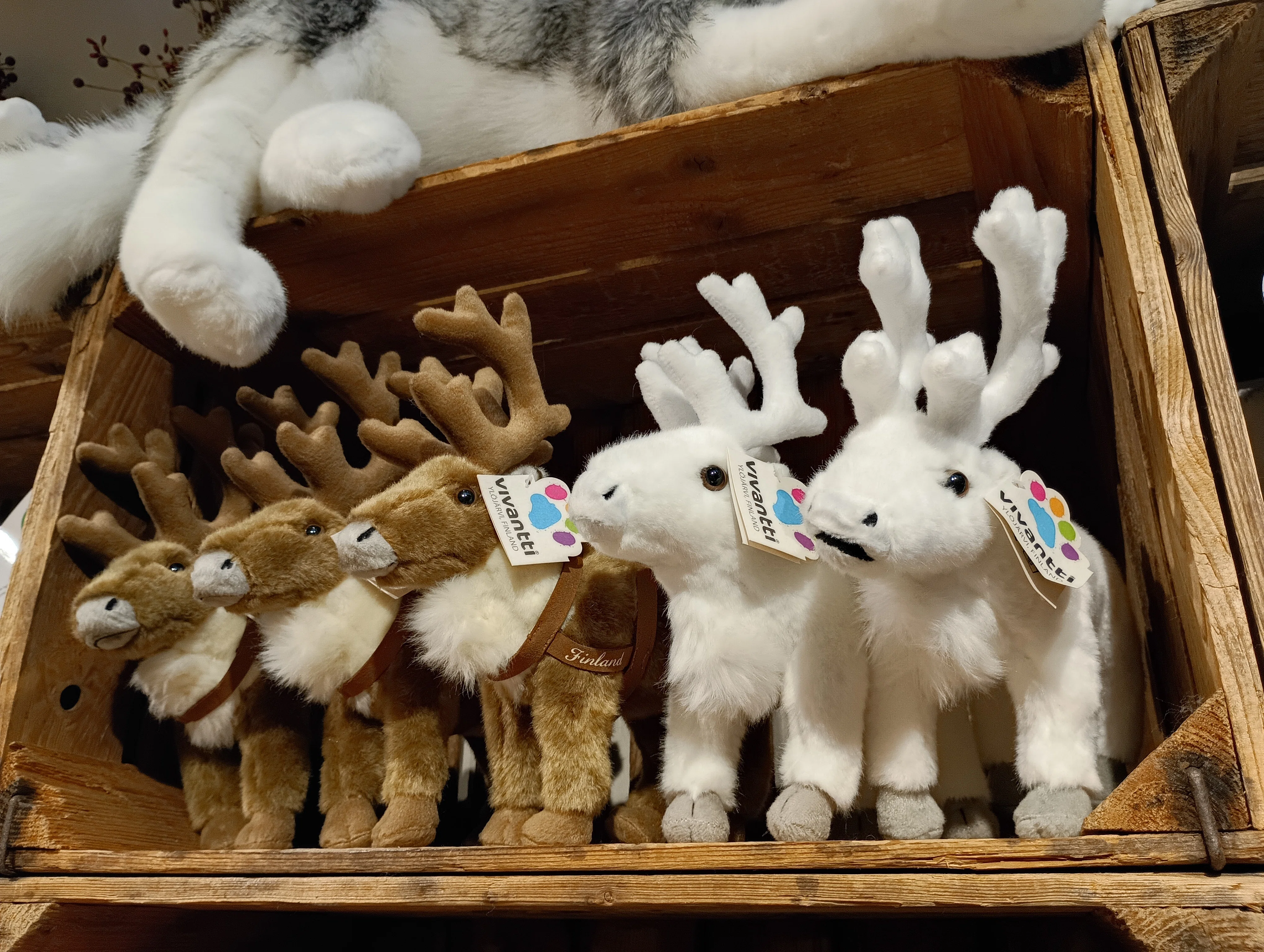 2026/6 サンタ村でトナカイのぬいぐるみを買う｜a5n