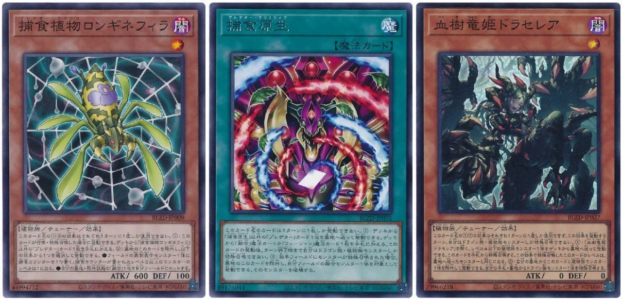 新弾テーマを全紹介：調和ノ天救竜とは何者か【遊戯王マスターデュエル