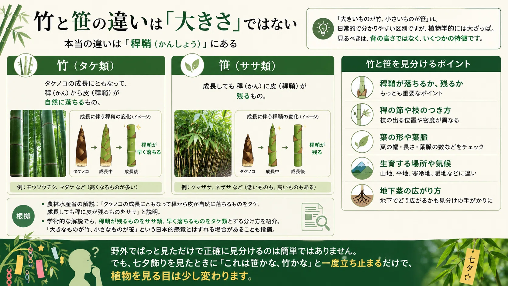 竹 笹 違い