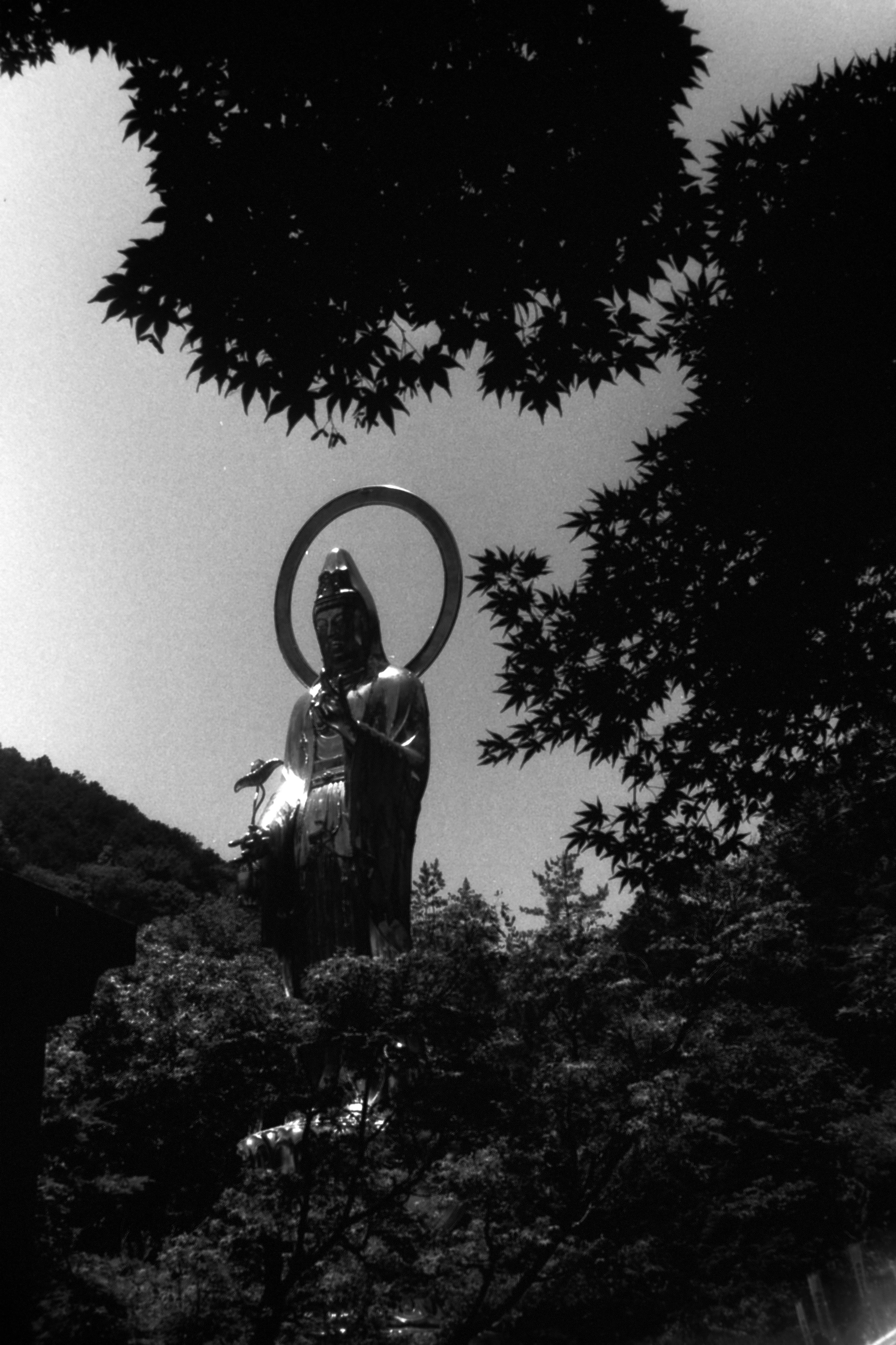 AGFA Karat 36 v2 ◑ Schneider-Kreuznach Xenon50mmF2｜いつかどこかで