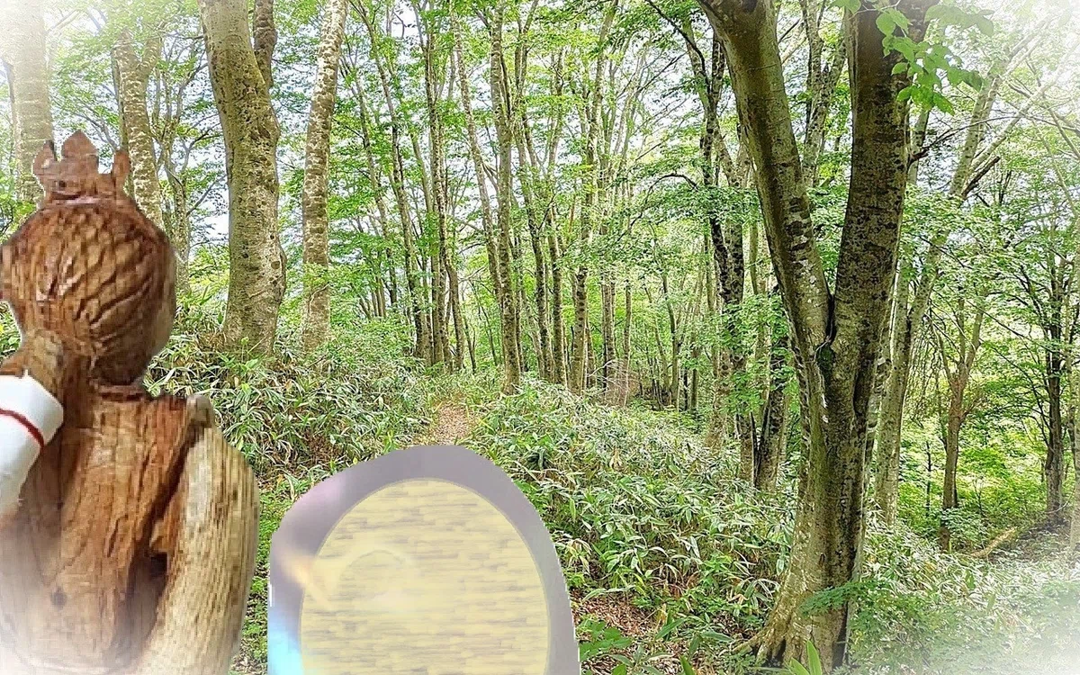 ç»å