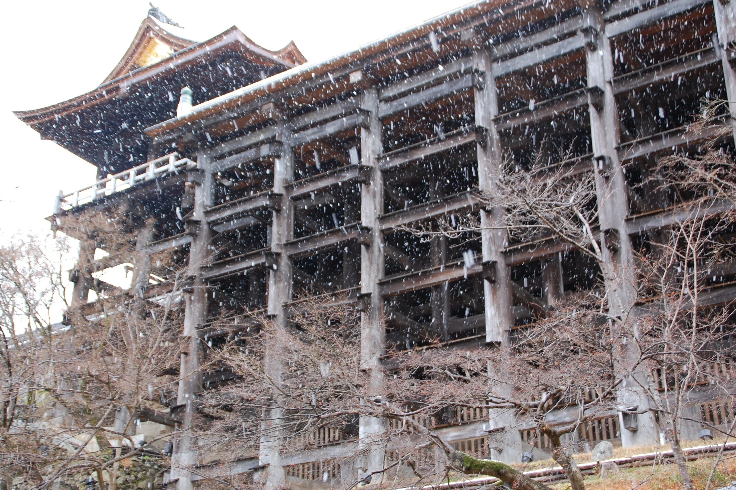同じものが並んでいると何故だか反応してしまう写真note（3）｜唐崎夜雨