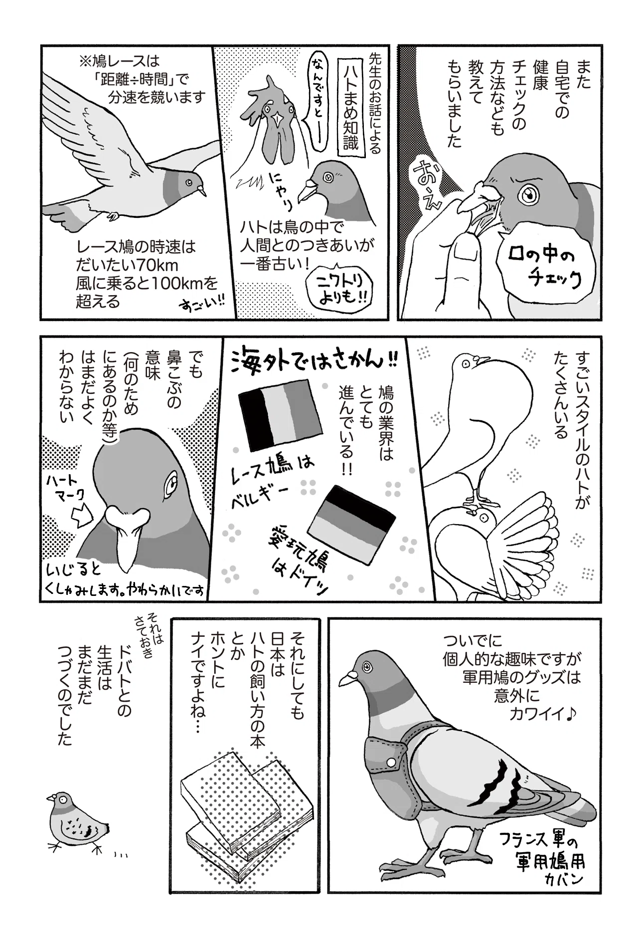2_ハトの健康診断｜ハトと暮らす 【コミックエッセイ】｜TAMA@斉藤たまき