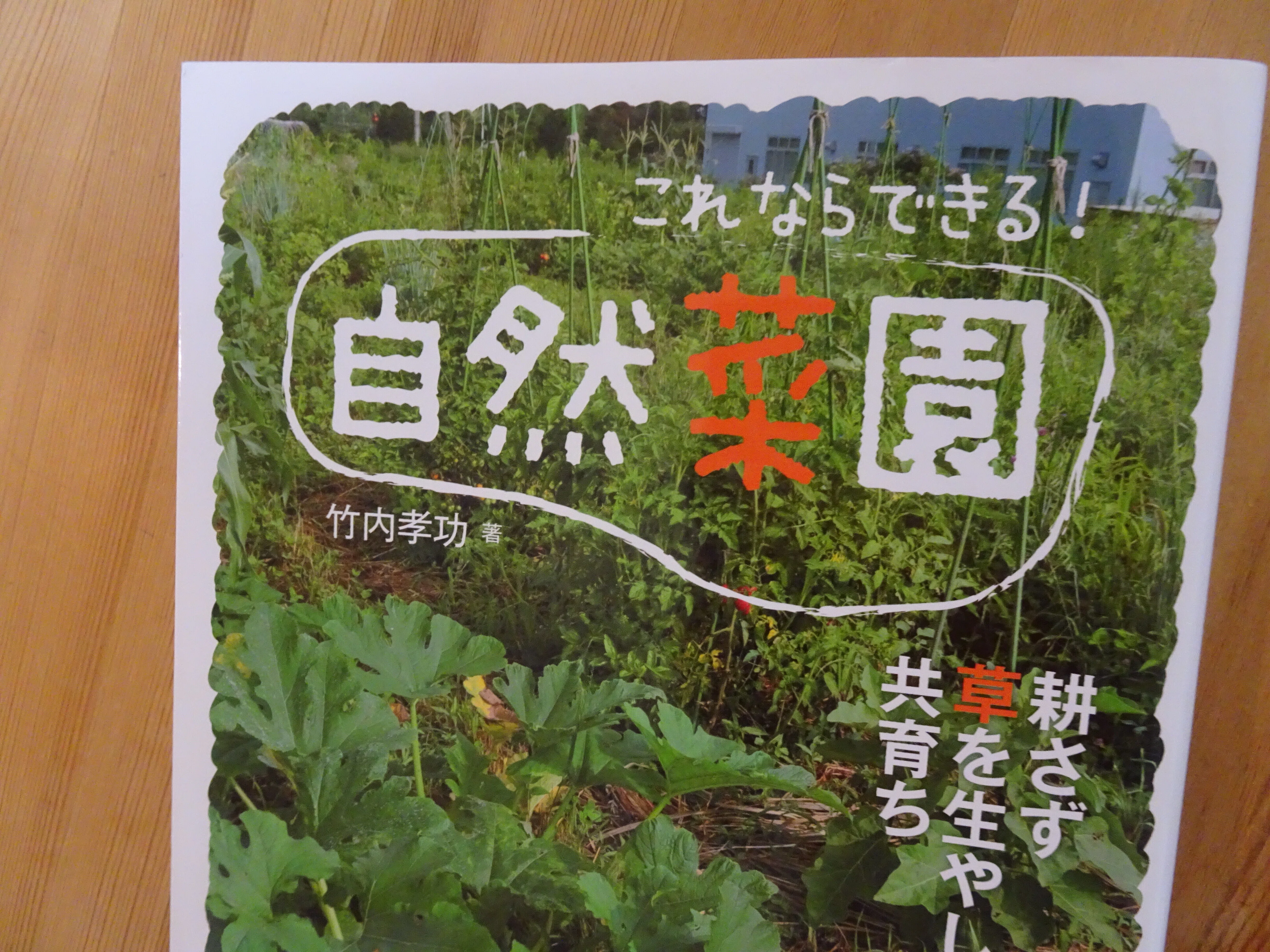 50代ﾄﾗｲｱｽﾘｰﾄ】 noteを経由して枝豆を収穫する不思議｜あらふぐ