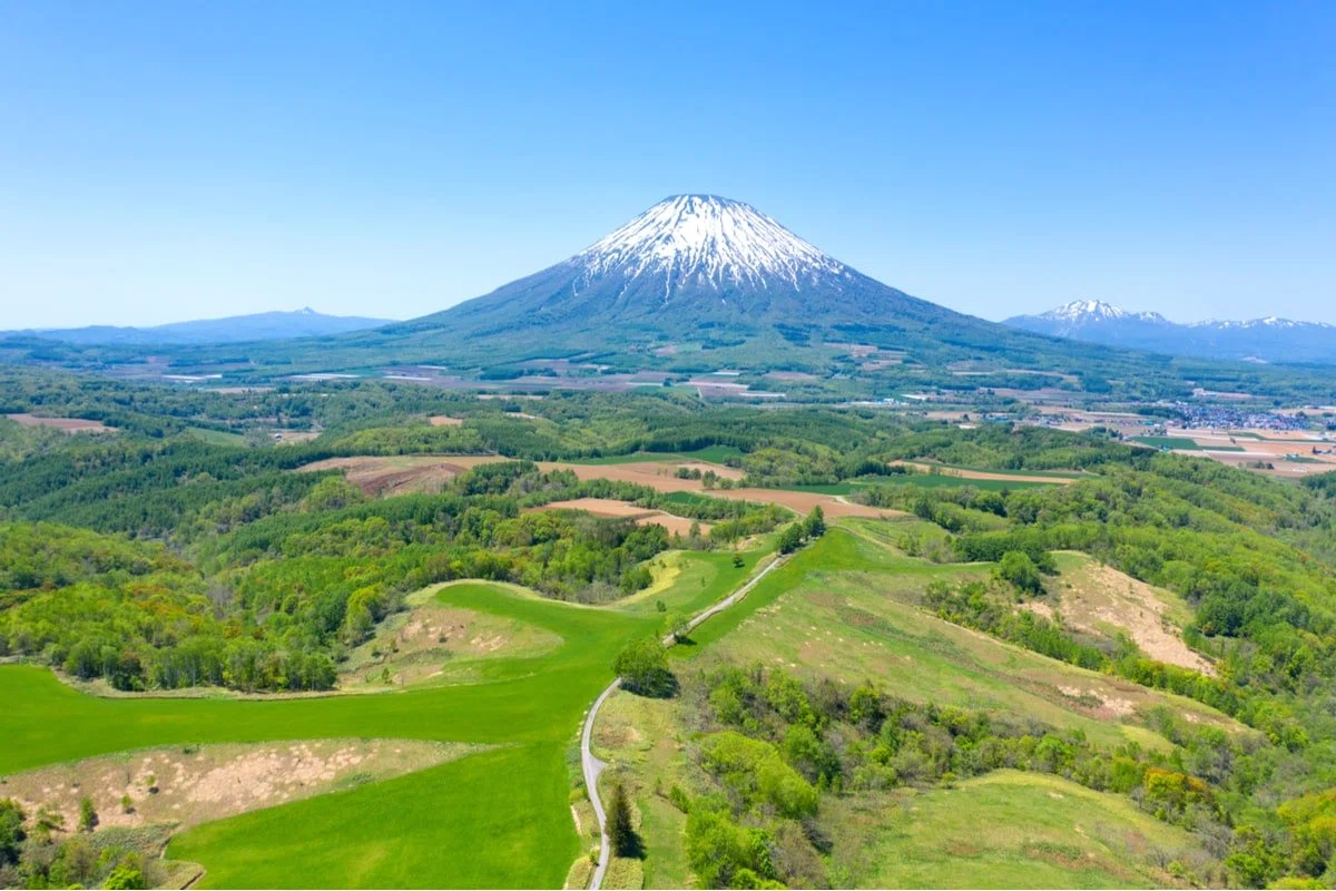 本文画像