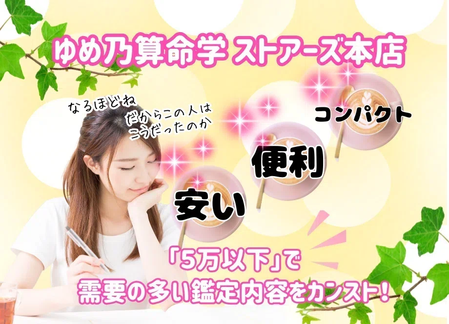 割引方法】MYリーフ①本格版 ～命式書込みできるルーズリーフ～｜ゆめ
