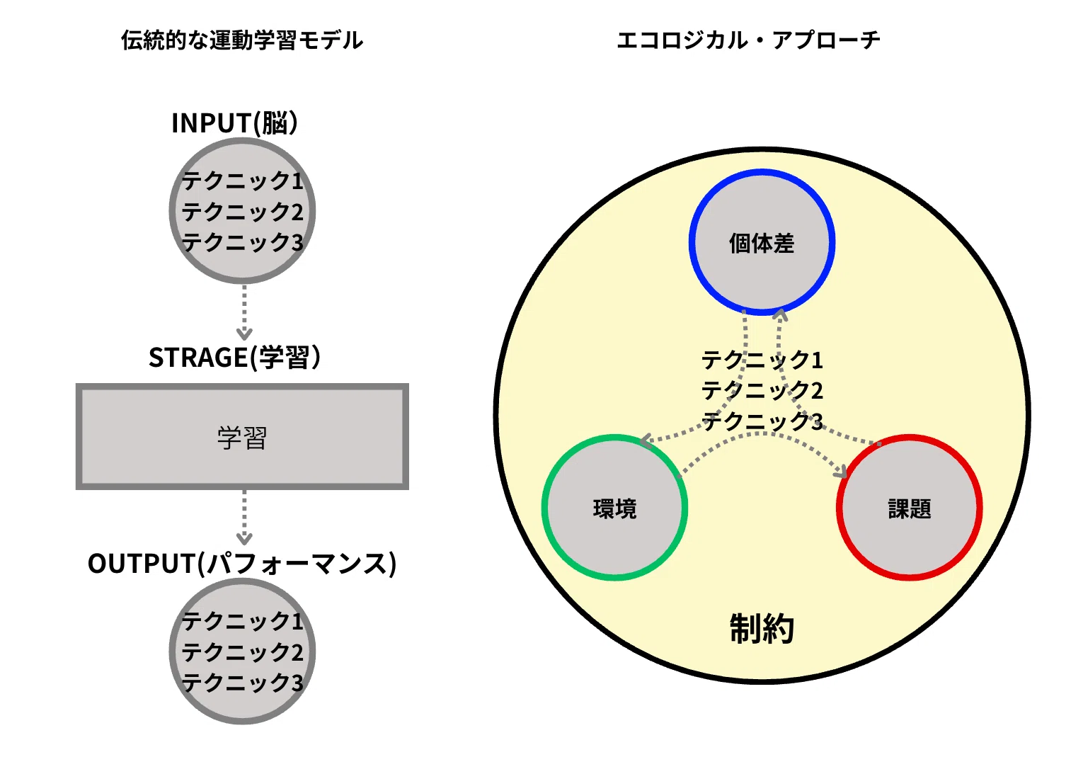 柔術を科学するVol.5【最近海外で流行りのエコロジカルトレーニングと