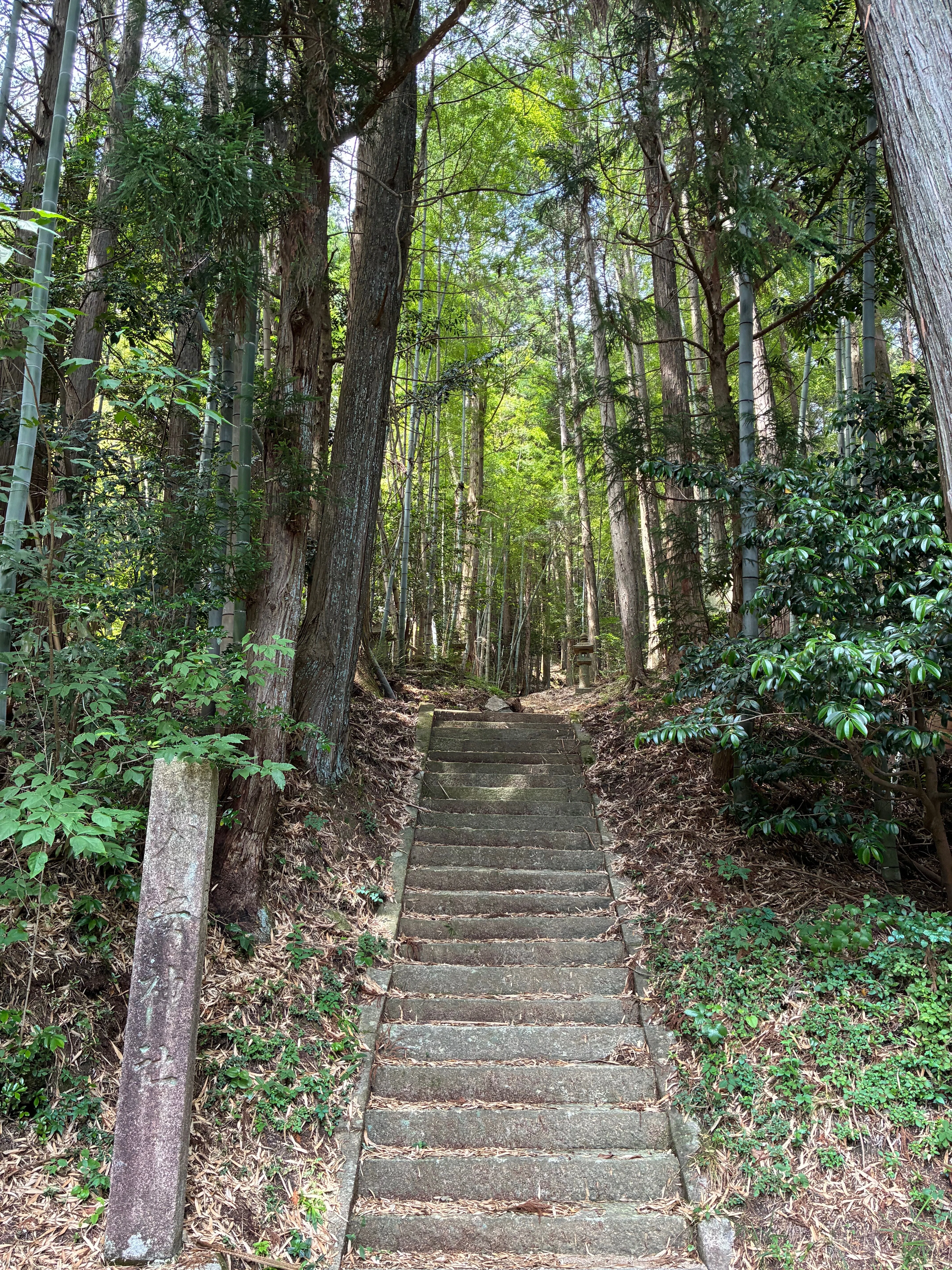 旧中山道ジョグしてきました（第三弾）大湫宿〜十三峠ぼたん岩｜ぐこ