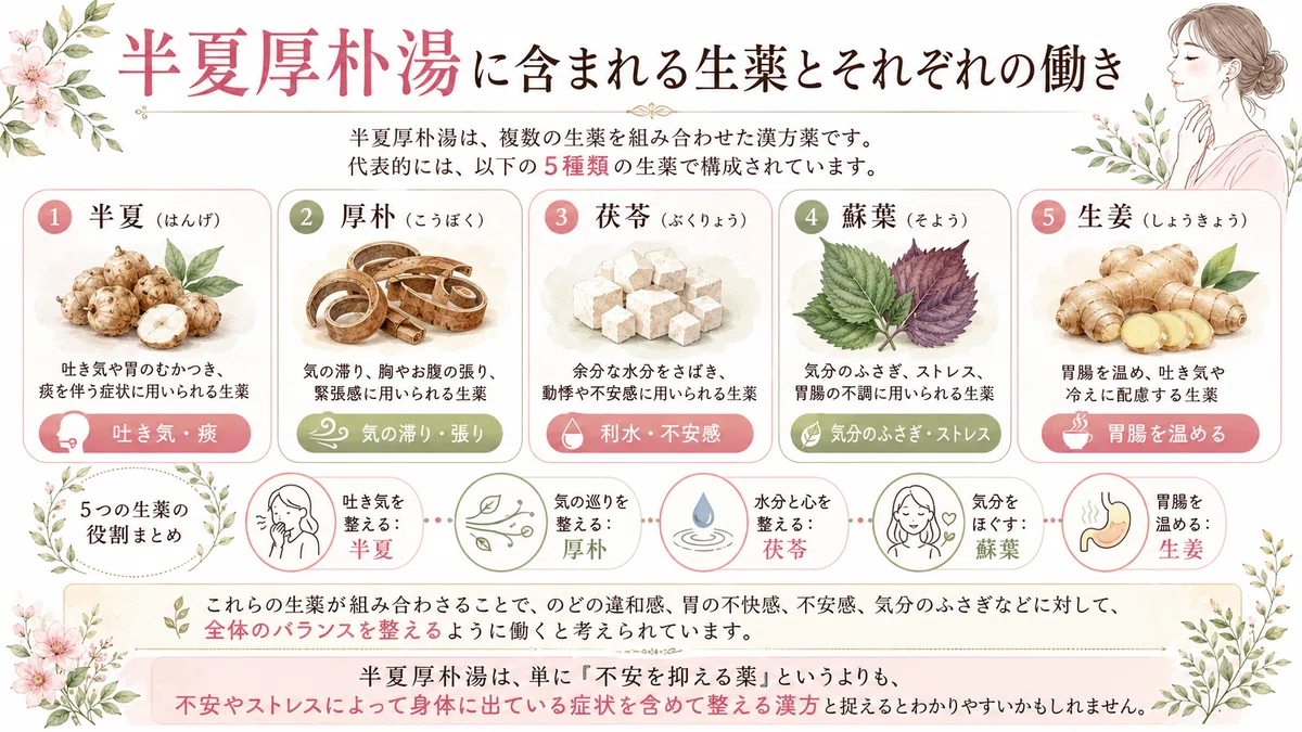 半夏厚朴湯とは?のどのつかえ・不安感・ストレス症状に用いられる漢方をやさしく解説|Mental Care Journal