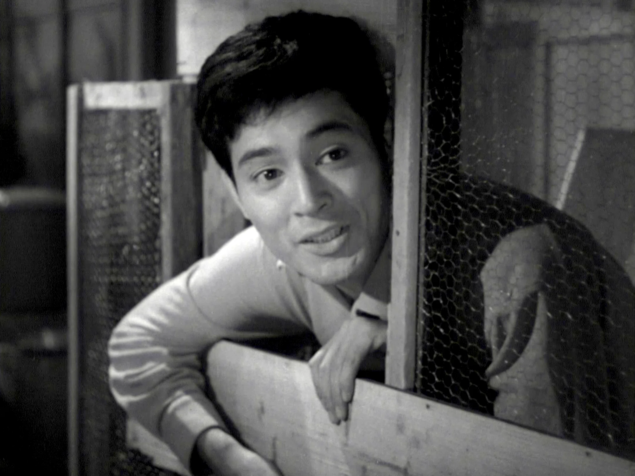映画感想 サザエさん 1956｜とらつぐみ