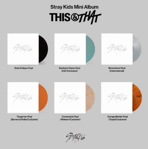 straykids THIS&THAT 新品 アイドル 未開封 FANS ALBUM 60個