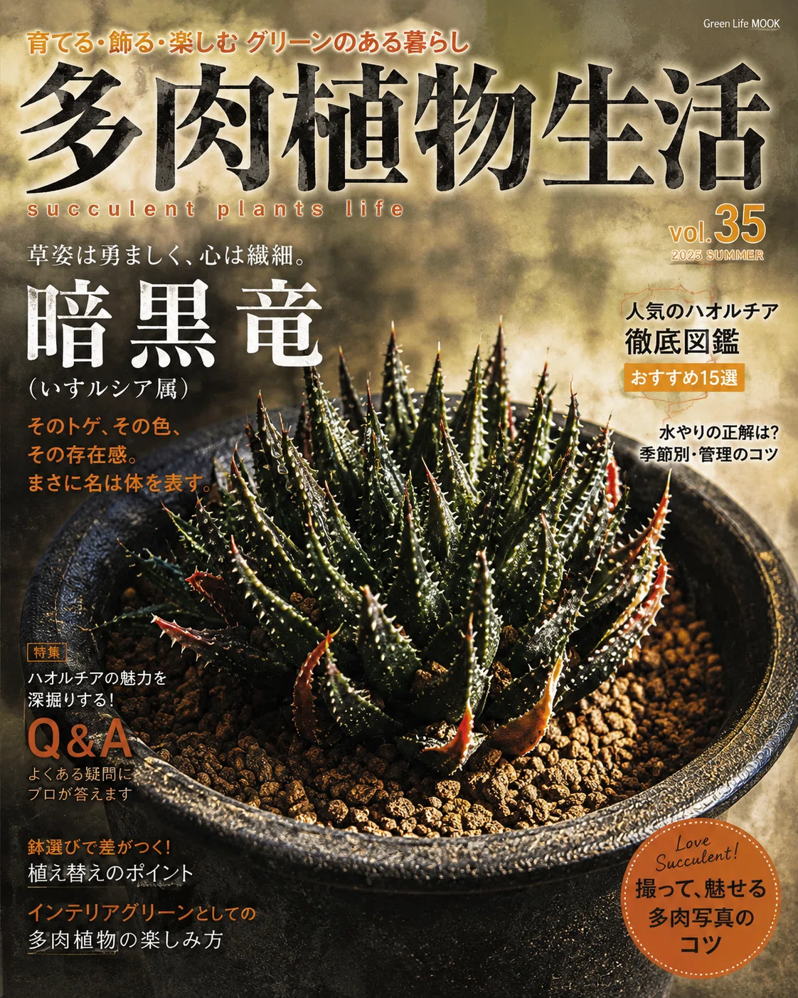 竜たちをお迎えした日｜多肉植物の名前が厨二病すぎる！第弐話｜マイキー🐣