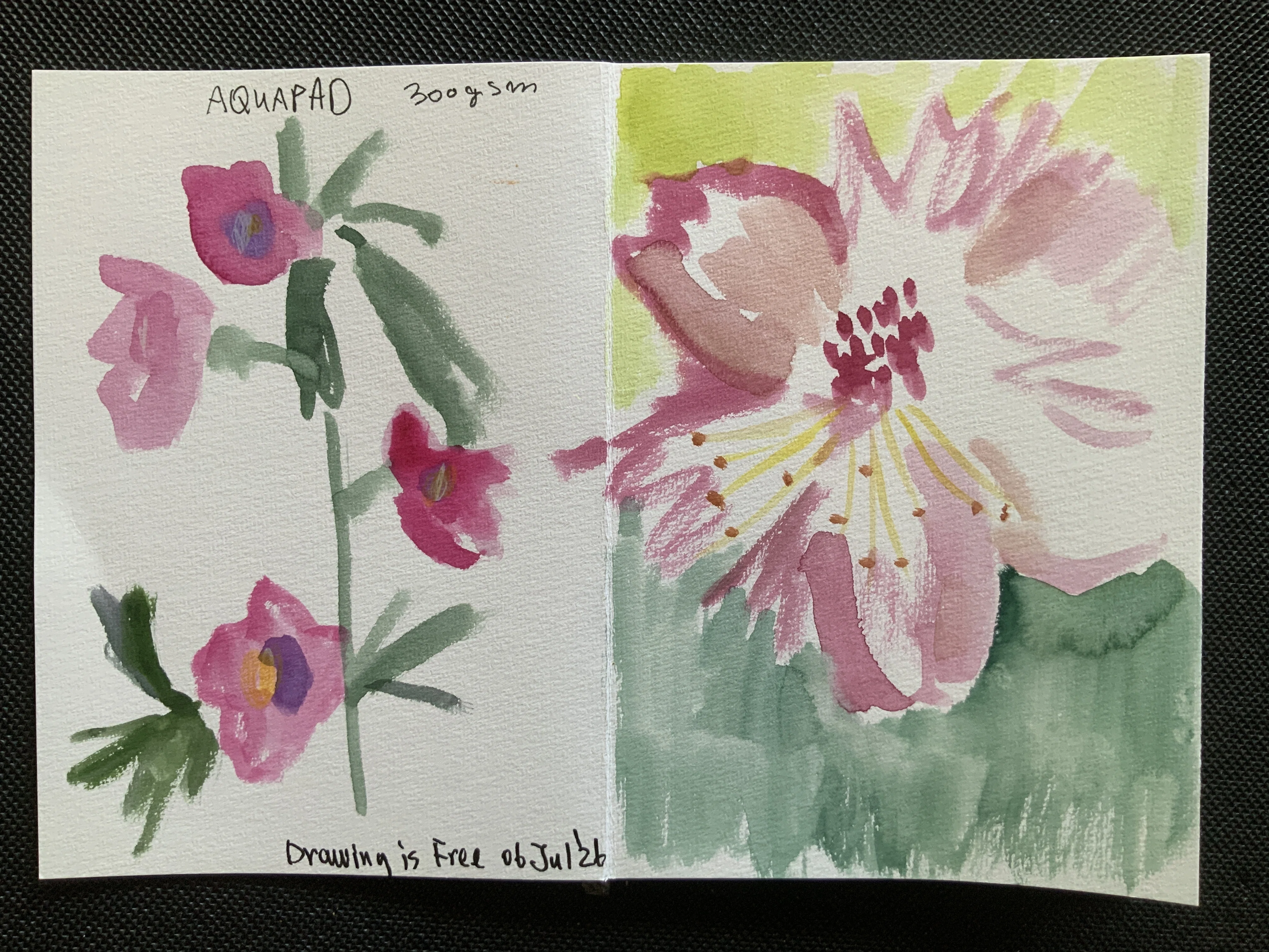 透明水彩で怖がらないで花を描く｜なお