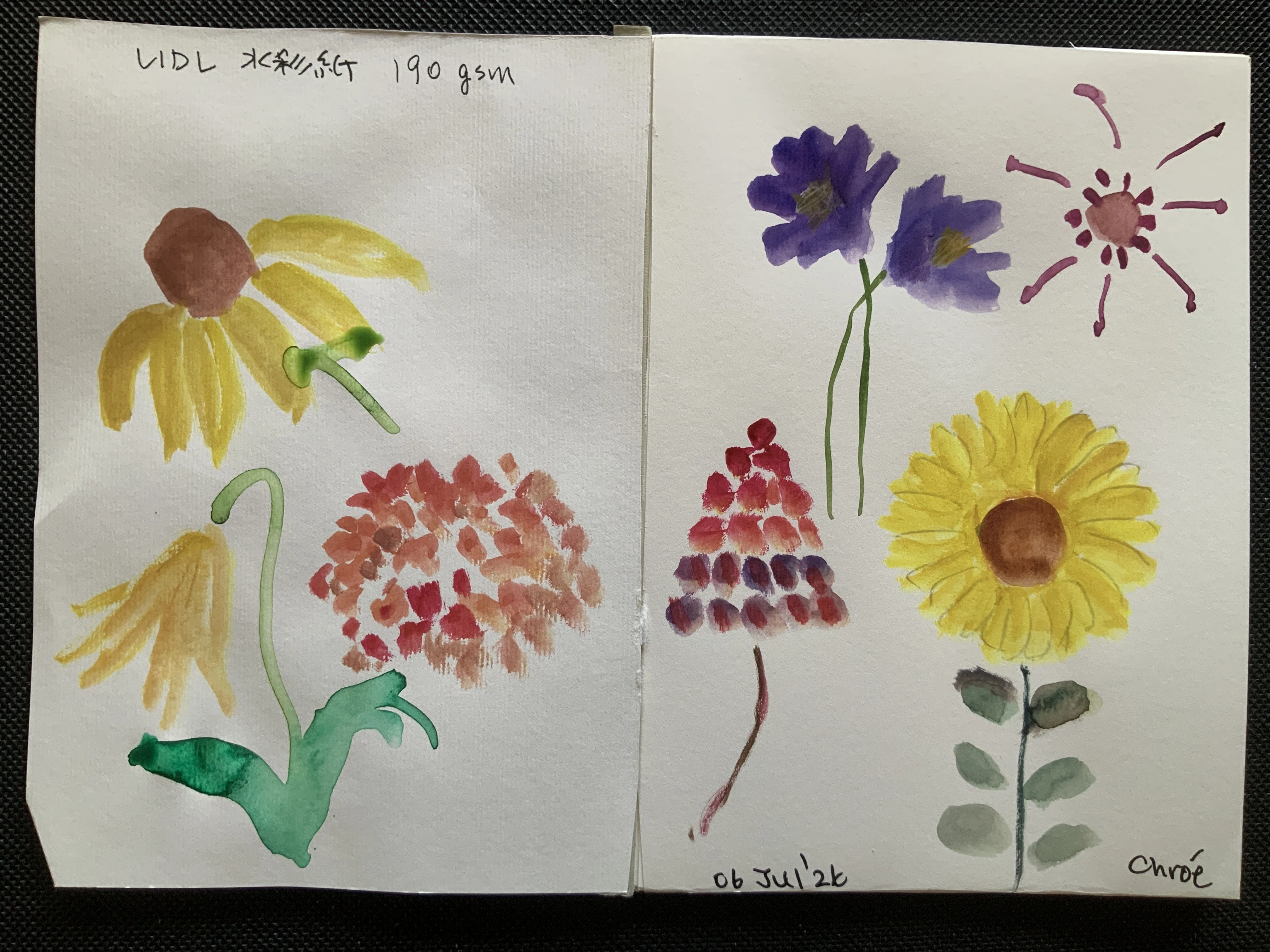 透明水彩で怖がらないで花を描く｜なお