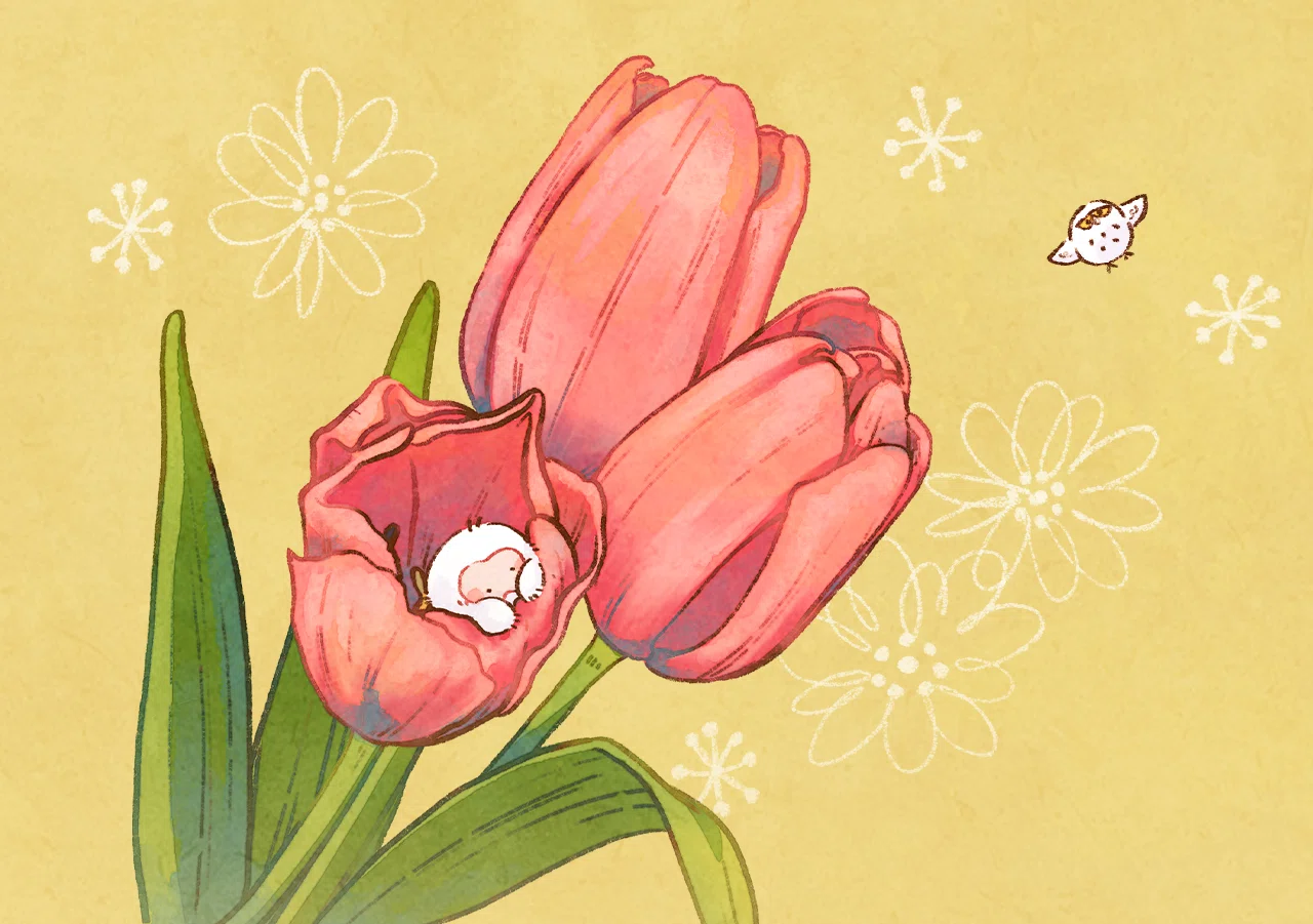 季節の花のイラスト｜SIFCA