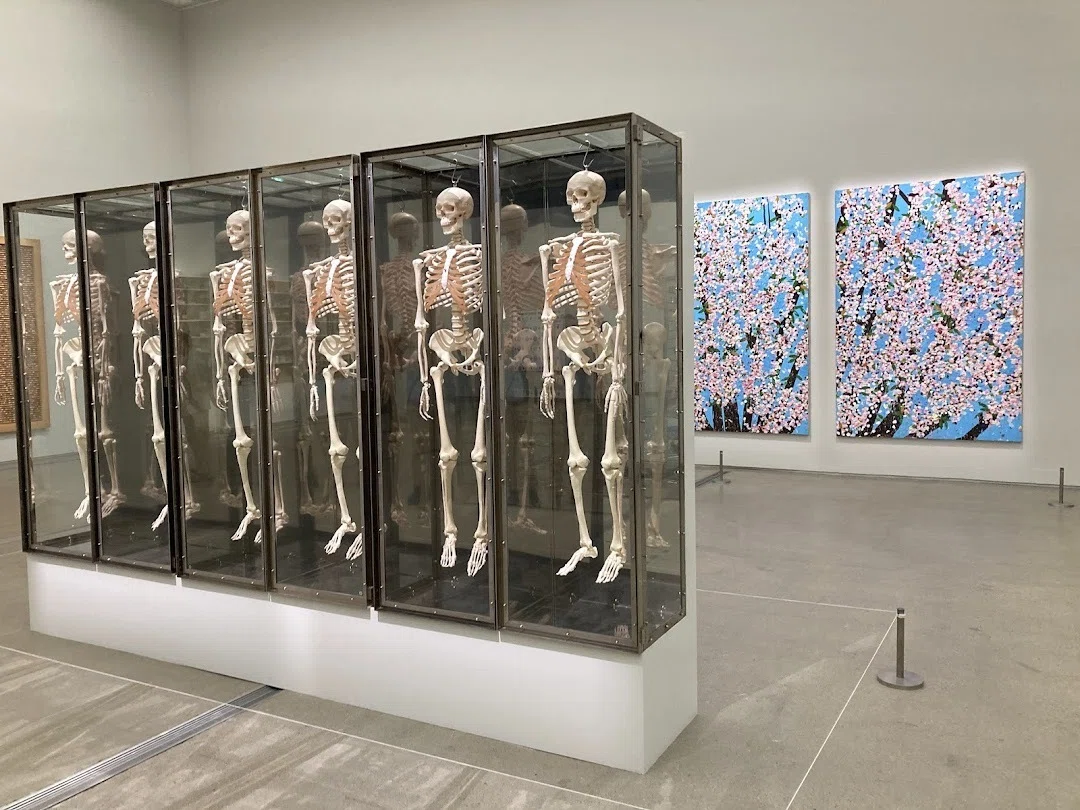 鑑賞レポート】ソウルの現代アート展巡り（「ダミアン・ハースト展