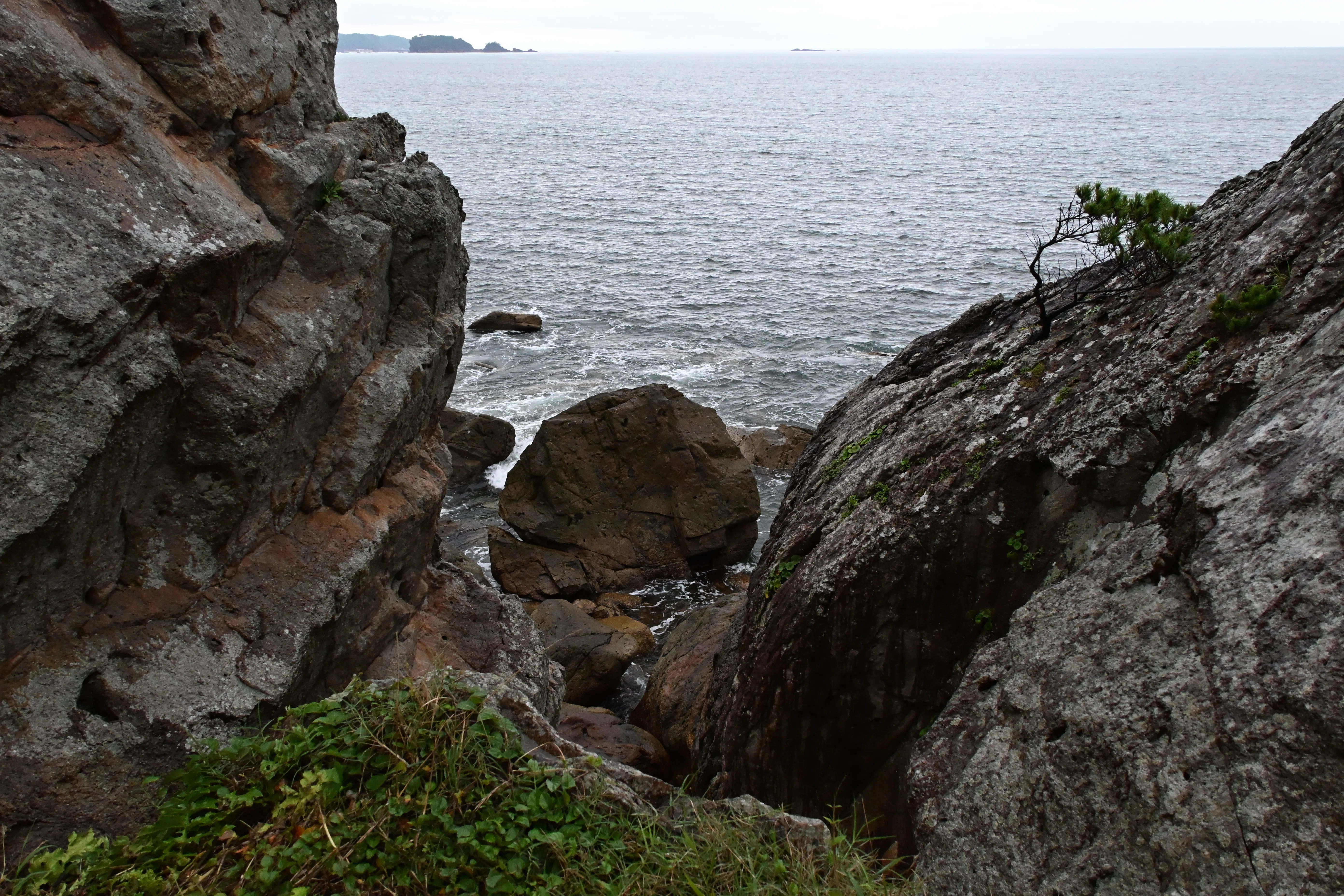 20260704_橋杭岩【Nikon Z50IIと観光】｜山ネズミ