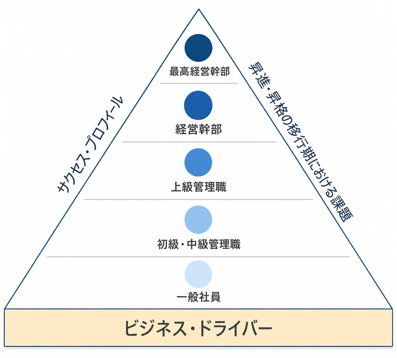 人材戦略におけるコンピテンシー・フレームワークの活用価値｜MSC