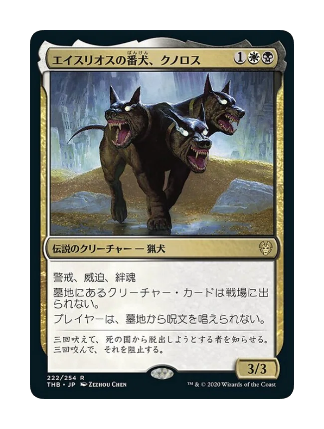 2026年版】なぜ今「犬」が競技で輝く？最強の相棒カードTOP10🐕（本文