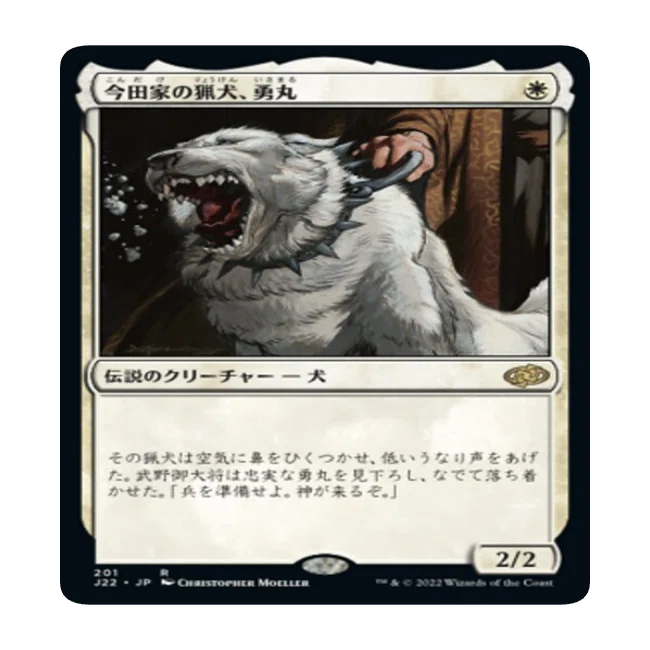 2026年版】なぜ今「犬」が競技で輝く？最強の相棒カードTOP10🐕（本文