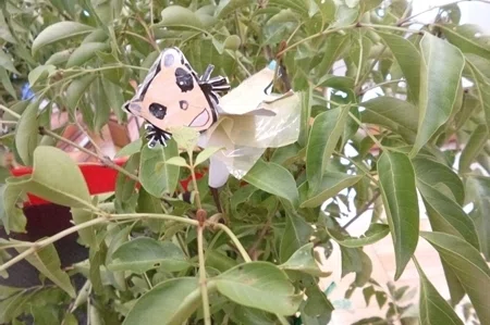 画像