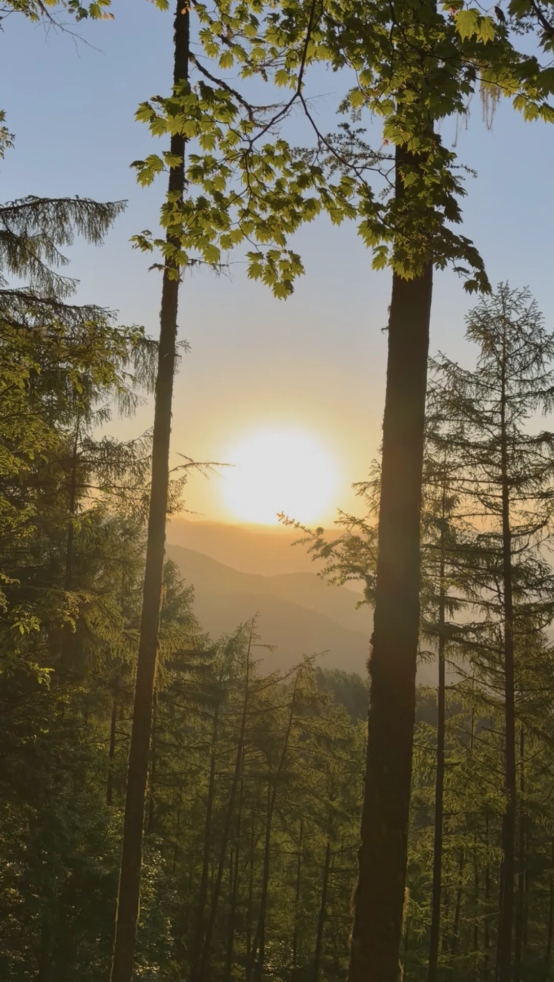 The day I did a 14-hour day trip to Mt. Ho-o. The white ridgeline