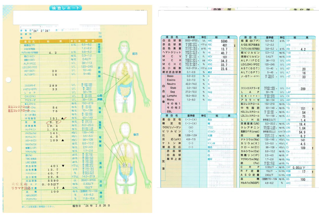 試しにNotebookLMで11年分の血液検査結果を分析してみた｜Blue_Sky