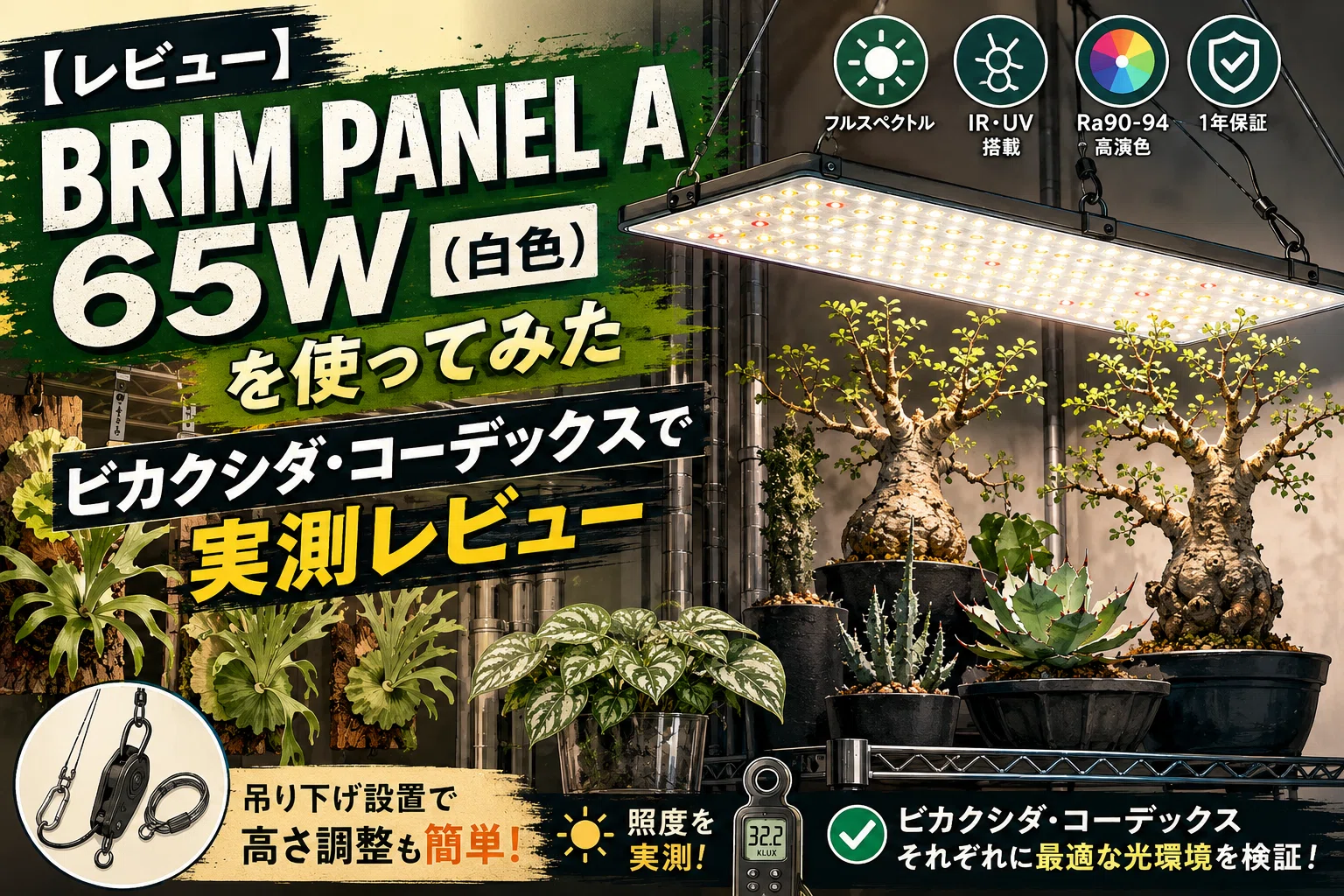 レビュー】BRIM PANEL A 65W（白色）を使ってみた ビカクシダ