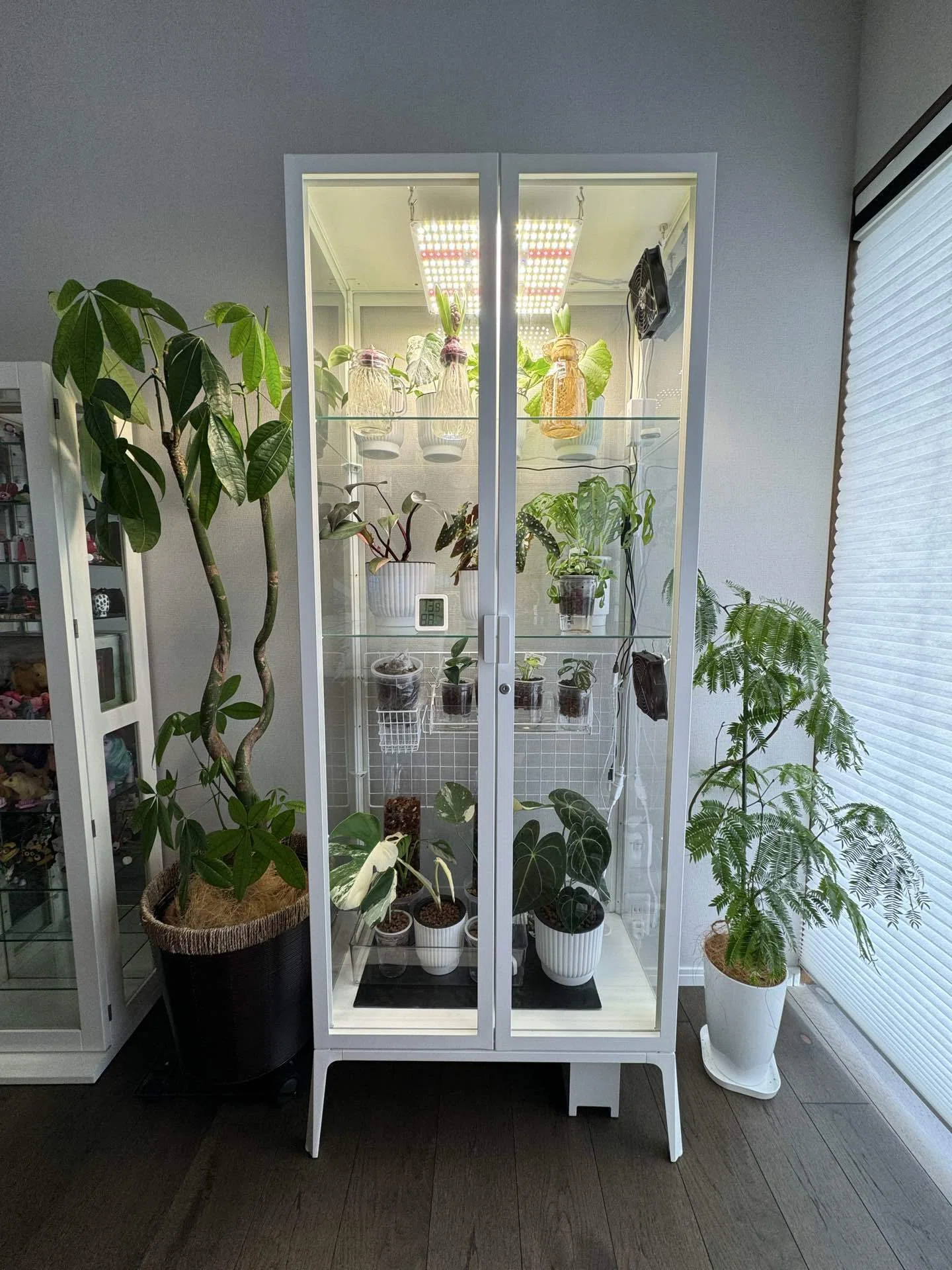 IKEA MILSBO温室化DIY Part1｜植物用グリーンキャビネットを作る