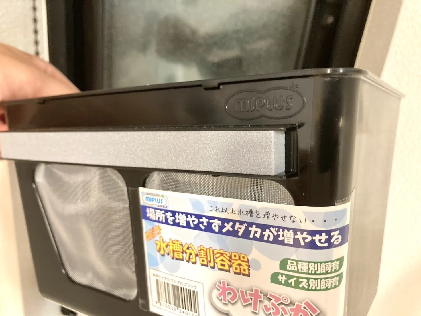 わけぷか」がすごい。メダカの“容器増えすぎ問題”を解決する神グッズ