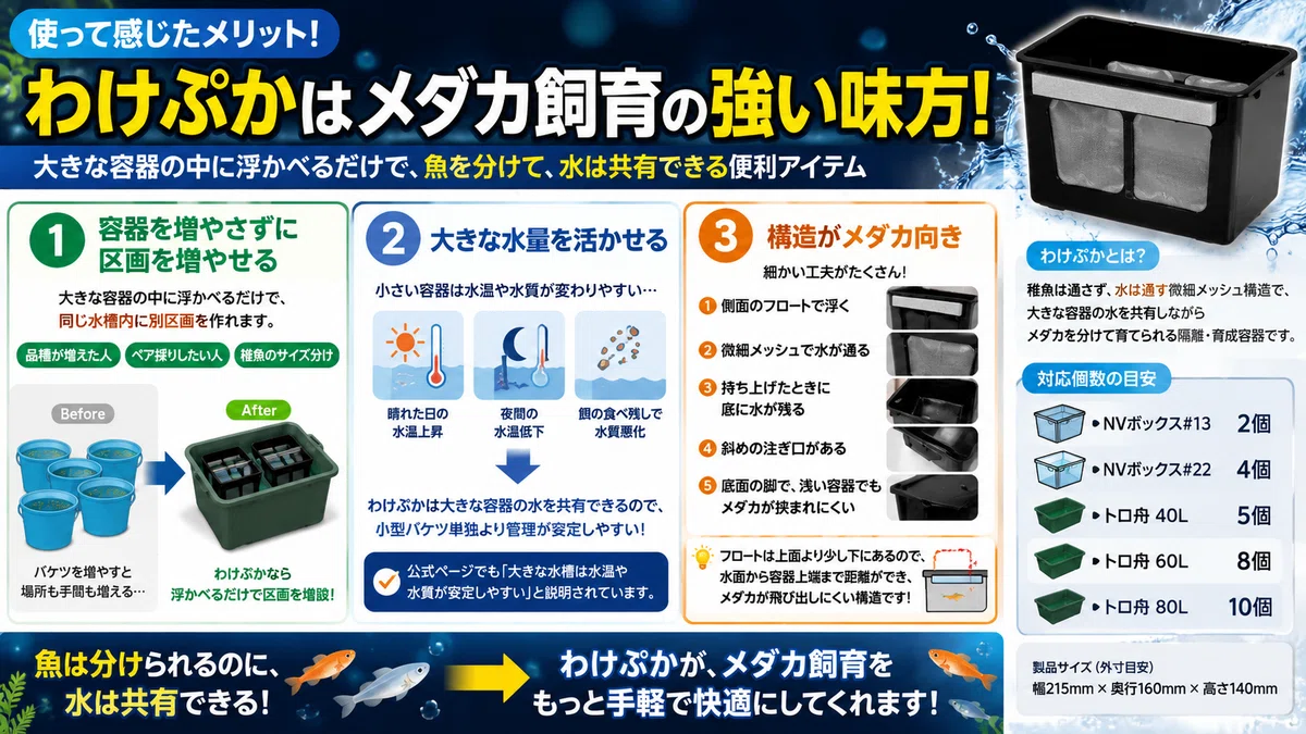 わけぷか」がすごい。メダカの“容器増えすぎ問題”を解決する神グッズ