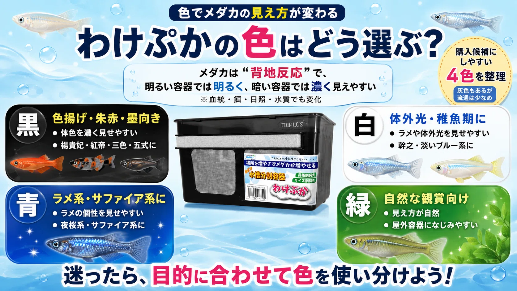 わけぷか」がすごい。メダカの“容器増えすぎ問題”を解決する神グッズ