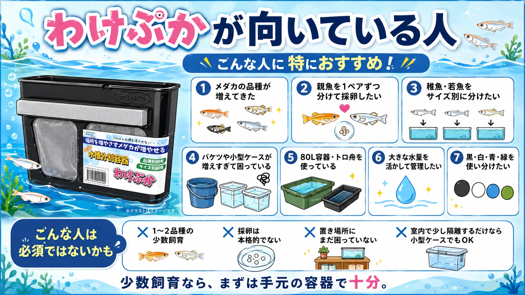 わけぷか」がすごい。メダカの“容器増えすぎ問題”を解決する神グッズ
