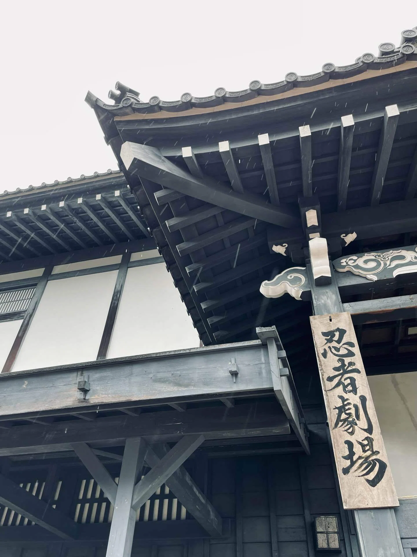 旅行スポットin日光｜江戸時代にタイムスリップ🥷｜ごろ絢｜週末役者