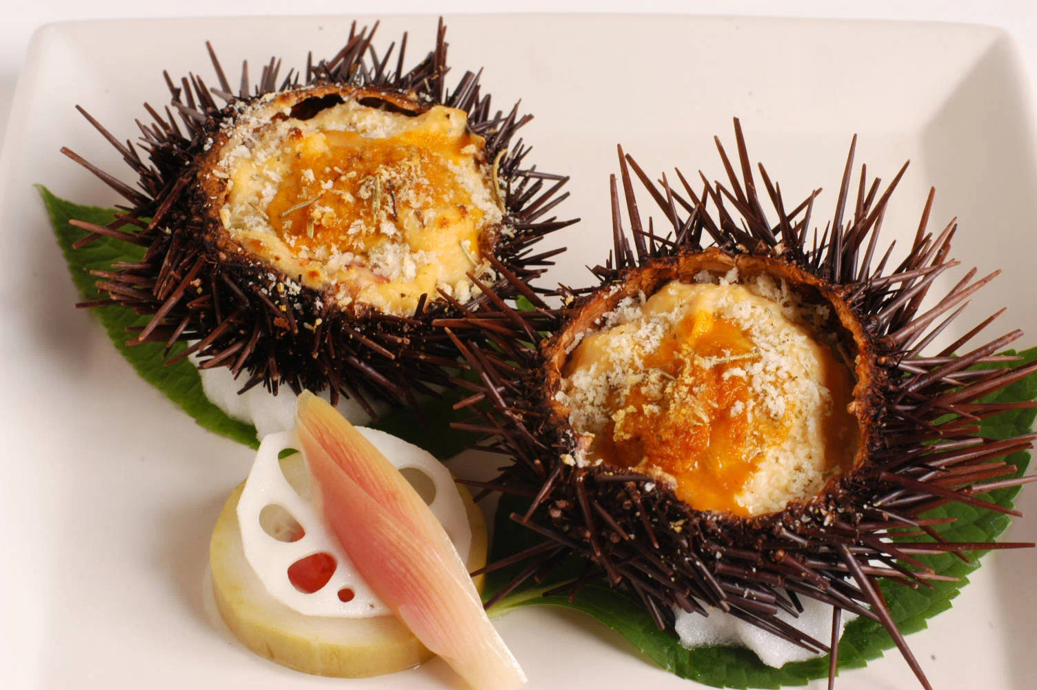 食べられない「漆黒の要塞」が、なぜプロを虜にするのか？ウニの殻に