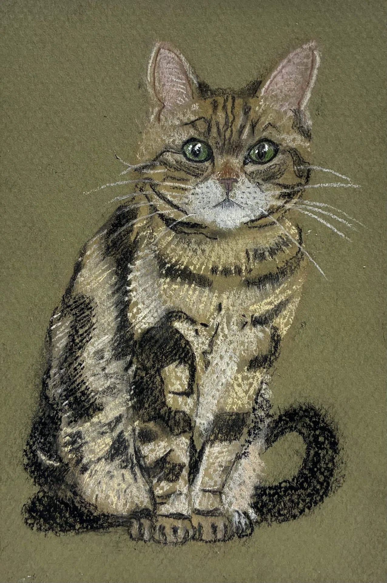 猫のパステル画（8）をリトライしました。｜まる