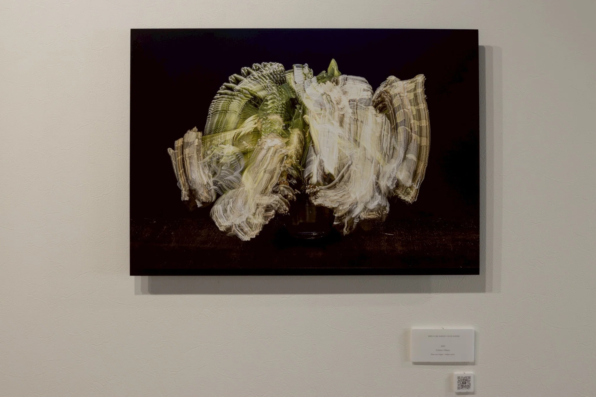 akemorihirokazu 個展『Still Life』評：奪還される時間、あるいは植物