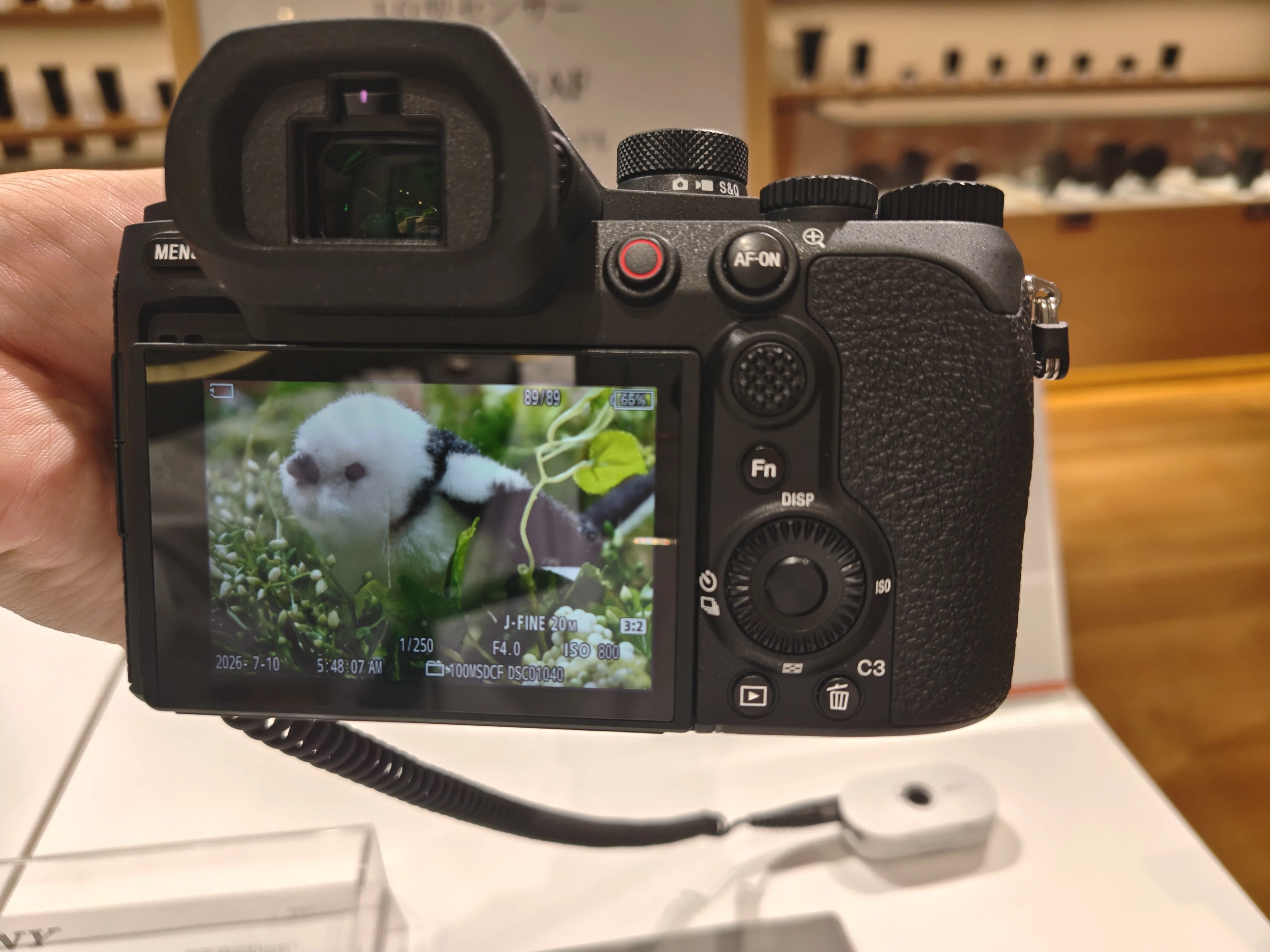 RX10V(DSC-RX10M5) 超高倍率コンデジ早速触ってきた｜伊吹